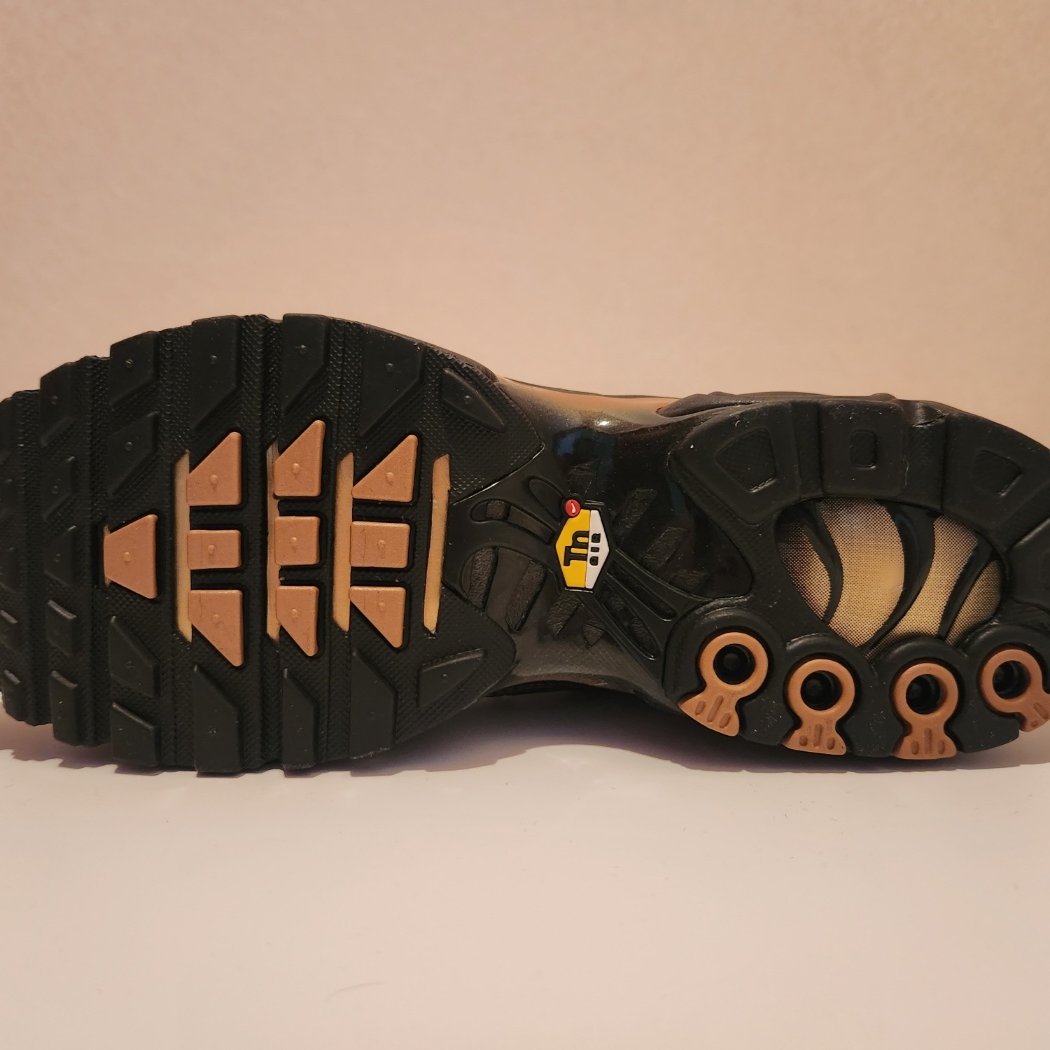 Nike Air Max Plus OG Scarab 착용 스타일 - 5