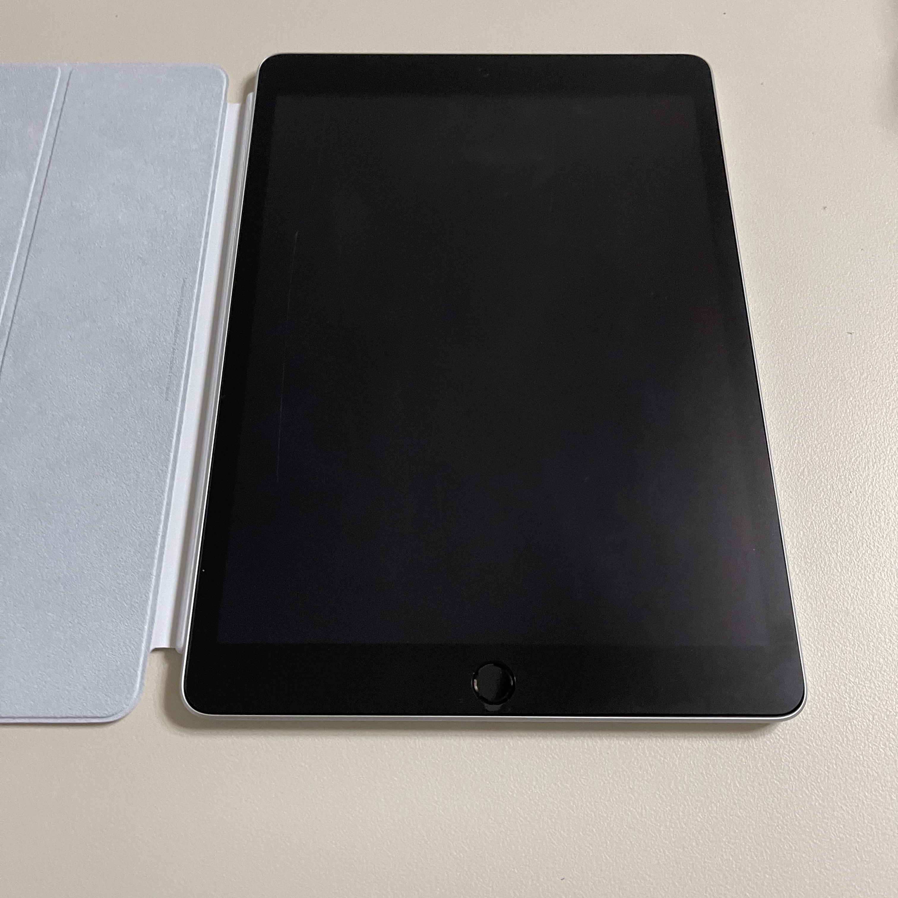 Apple iPad 9th Gen Wifi 64GB Silver (Korean Ver.) 착용 스타일