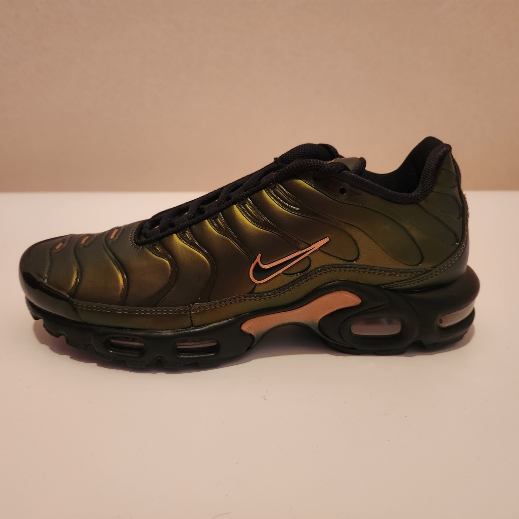 Nike Air Max Plus OG Scarab 착용 스타일 - 2