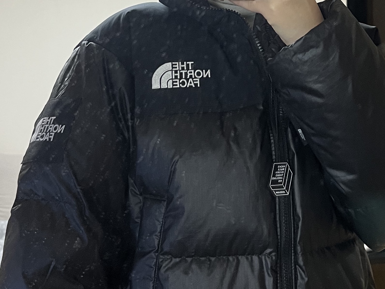 (W) The North Face White Label Novelty Nuptse Down Jacket Black 착용 스타일 - 1