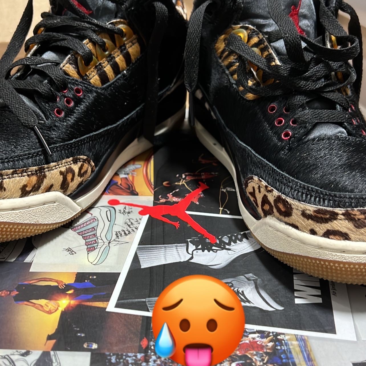 Jordan 3 Retro SE Animal Instinct 착용 스타일 - 3