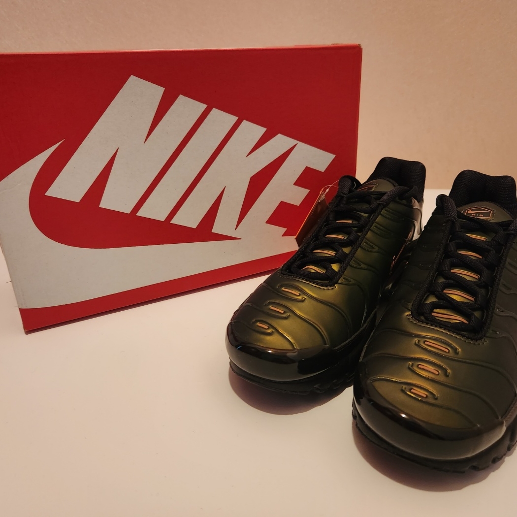 Nike Air Max Plus OG Scarab 착용 스타일 - 1