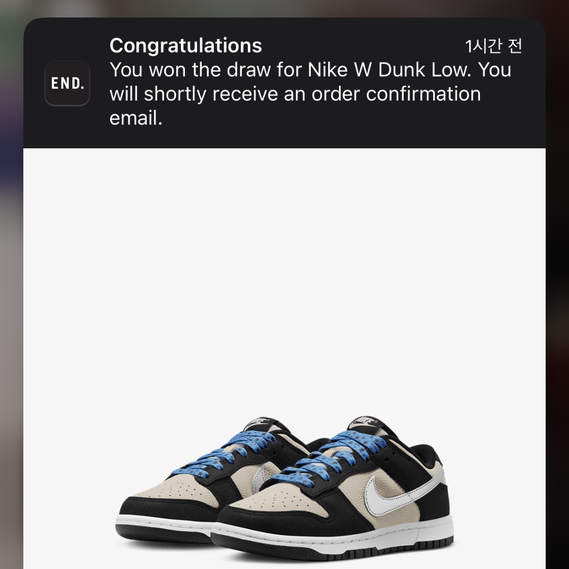 (W) Nike Dunk Low Light Bone Metallic Silver 착용 스타일