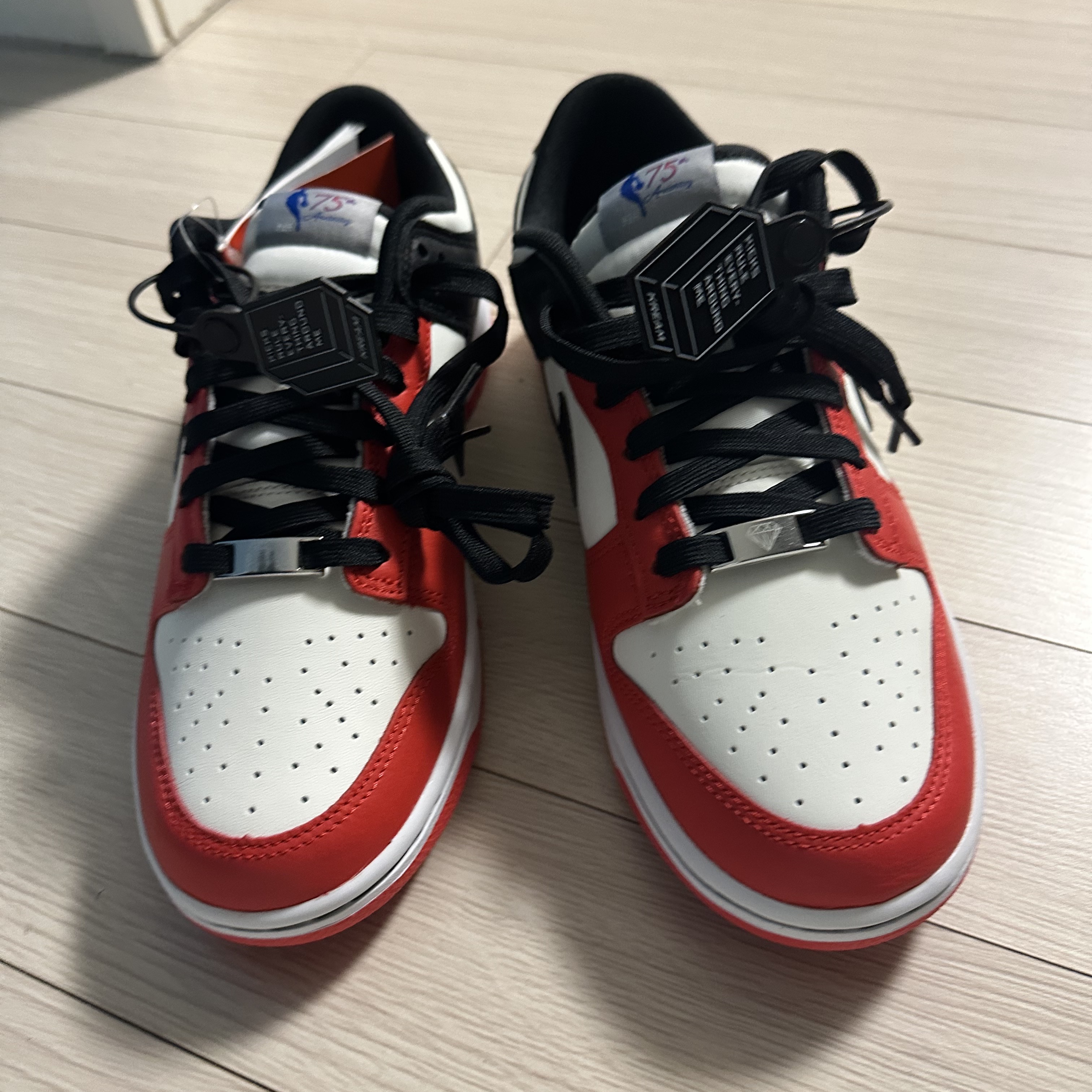 Nike x NBA Dunk Low Retro EMB Black and Chile Red 착용 스타일 - 3