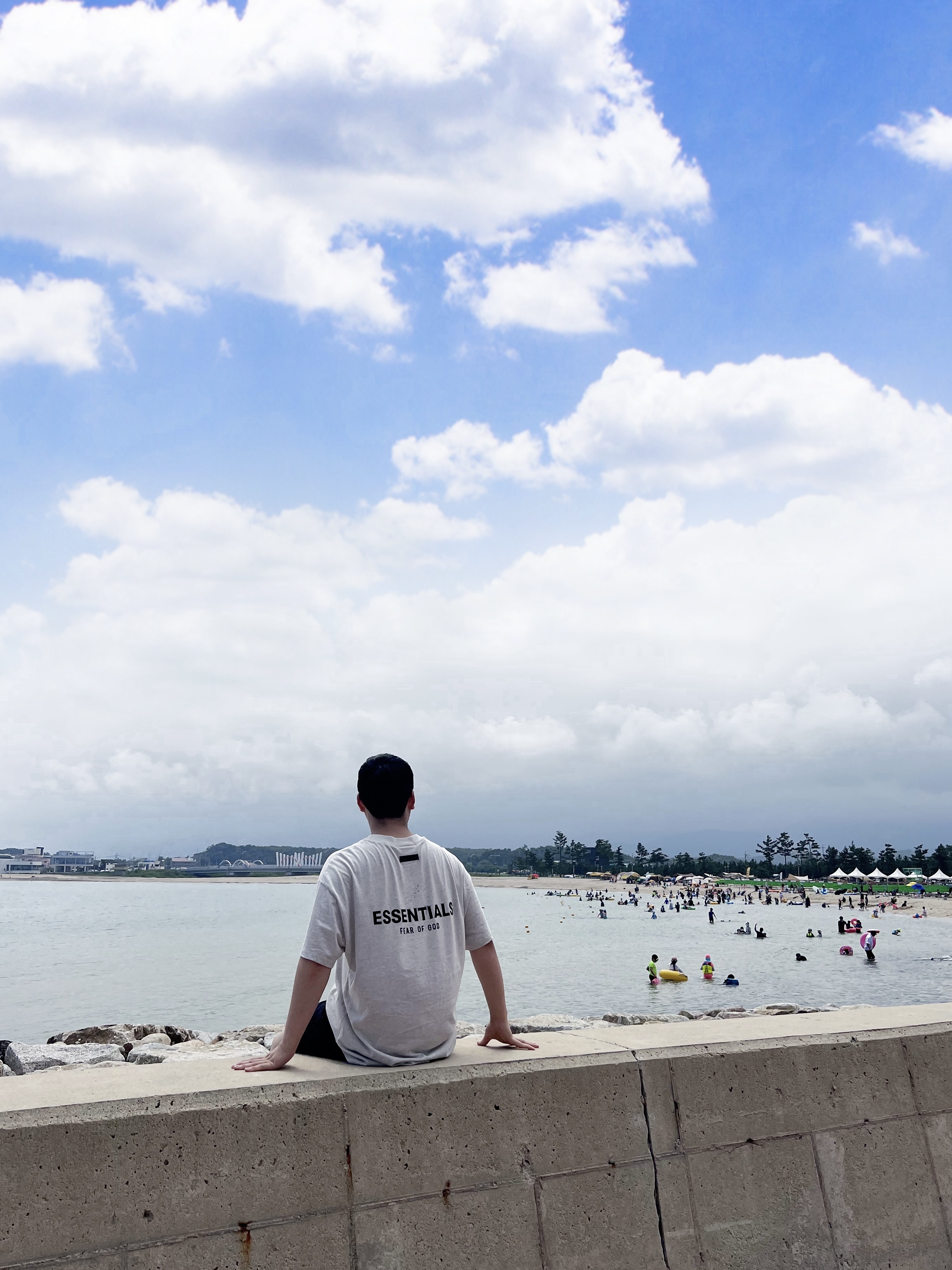 Essentials The Core Collection T-Shirt Light Oatmeal 착용 스타일