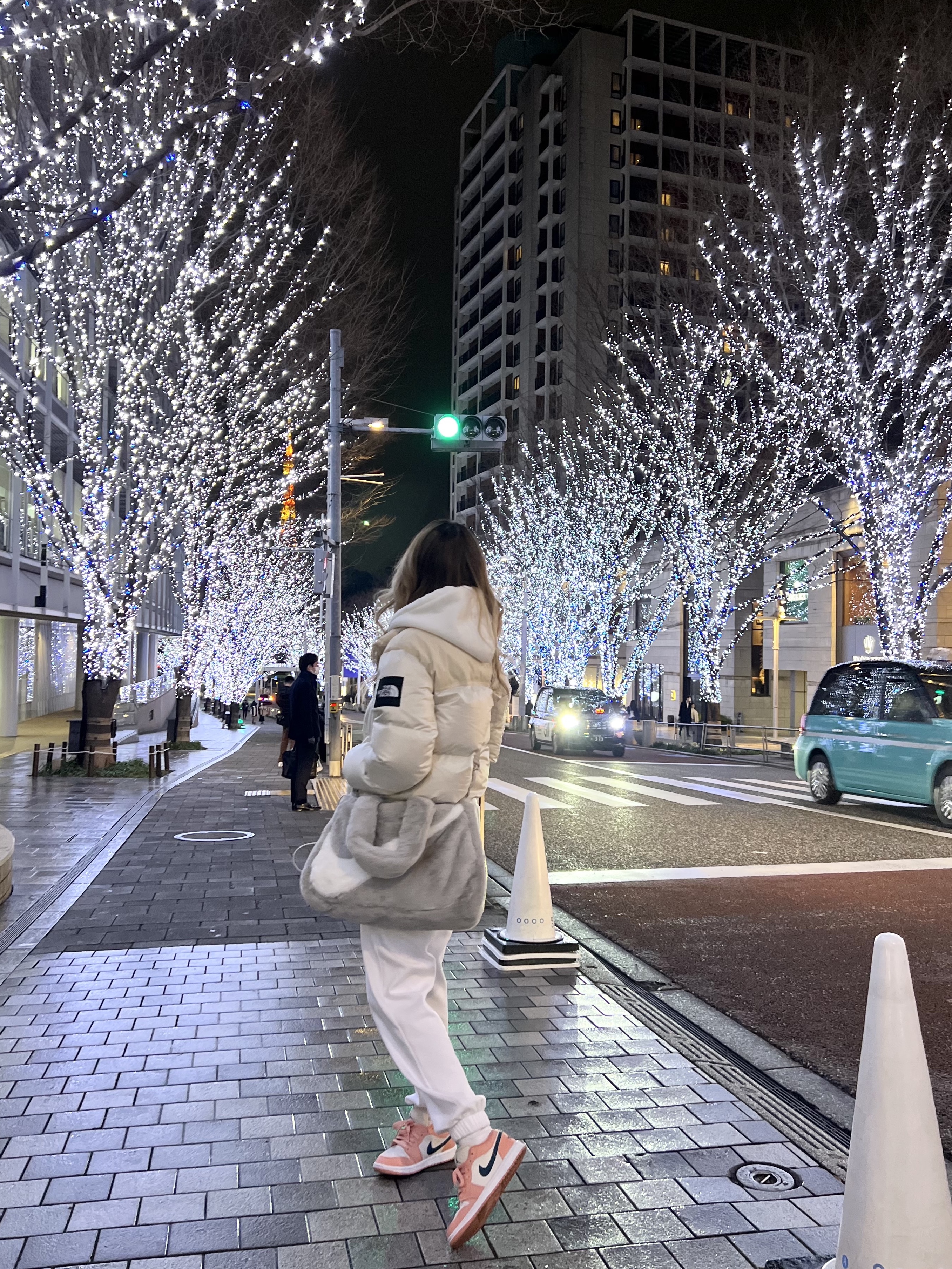 (W) Jordan 1 Low Light Madder Root, (W) The North Face White Label Novelty Nuptse Down Jacket Cream 착용 스타일 - 1