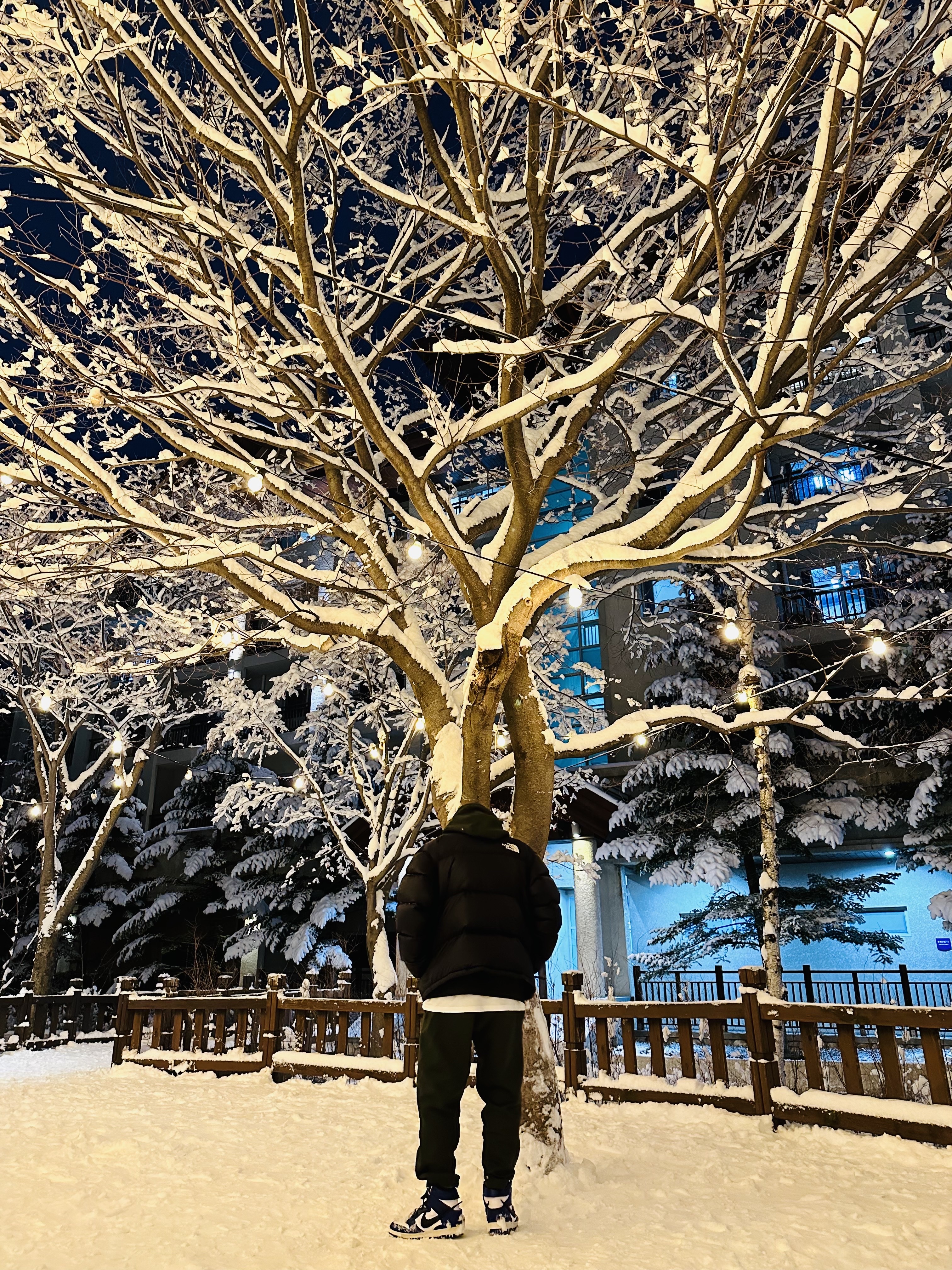 The North Face 1996 Eco Nuptse Jacket Black, Nike x Billie Eilish NRG Fleece Hoodie Sequoia - US/EU 착용 스타일 - 4