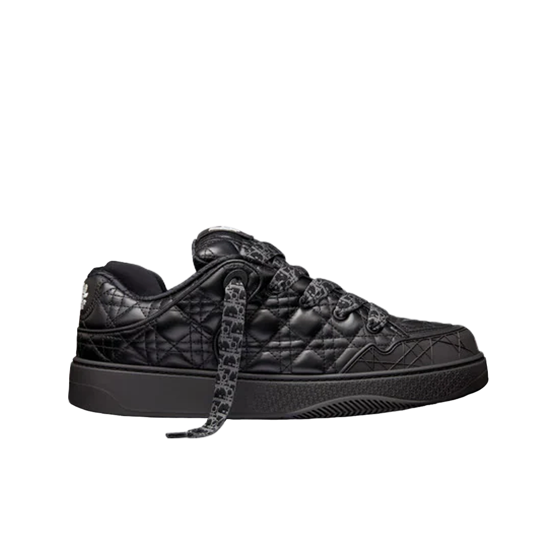 디올 x ERL B9S 스케이터 스니커즈 블랙 리미티드 넘버 에디션(Dior x ERL B9S Skater Sneakers Black Limited Number Edition)