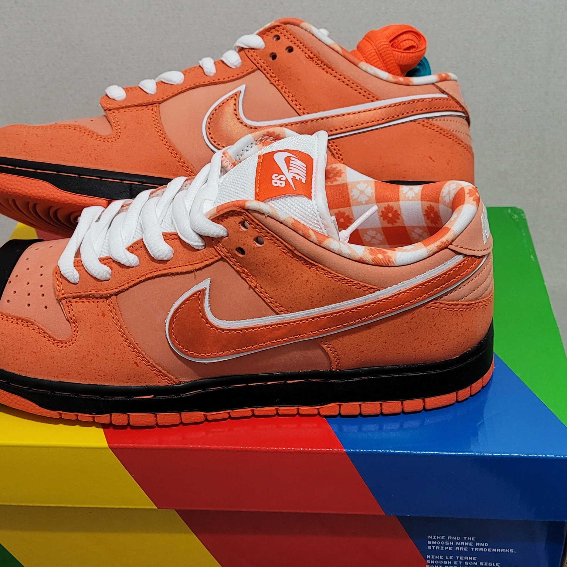 Nike x Concepts SB Dunk Low Orange Lobster (Regular Box) 착용 스타일