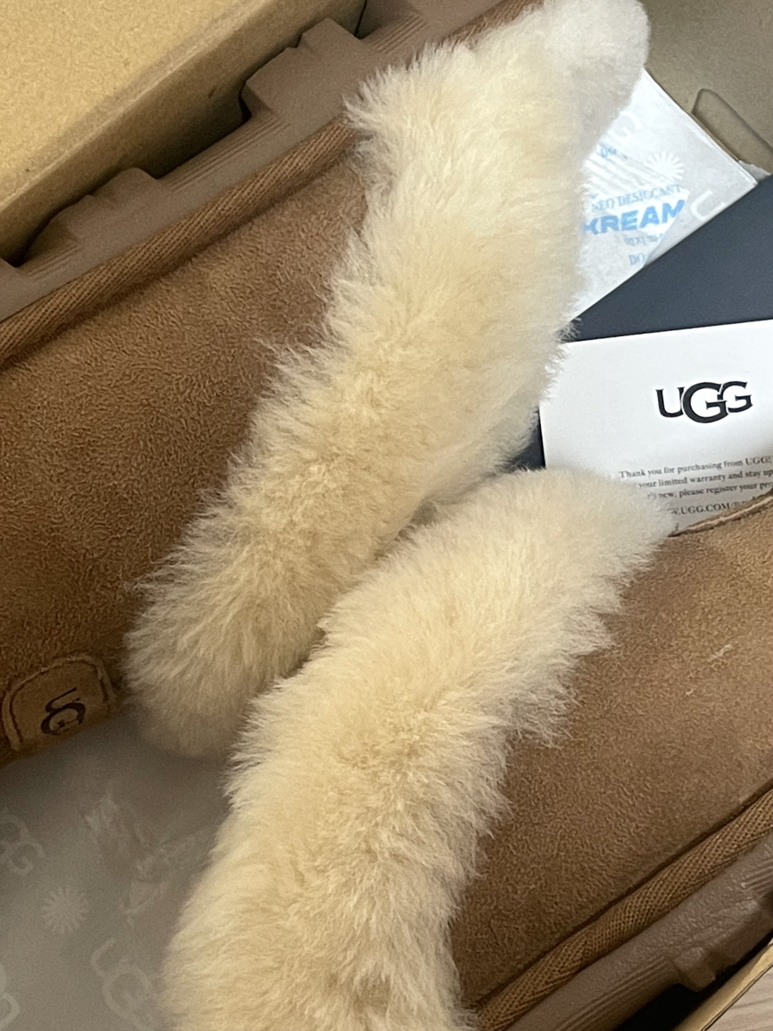 (W) UGG Coquette Slipper Chestnut 착용 스타일