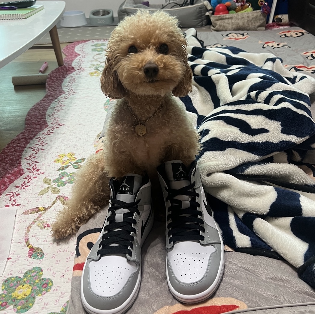 Jordan 1 Mid Light Smoke Grey 착용 스타일