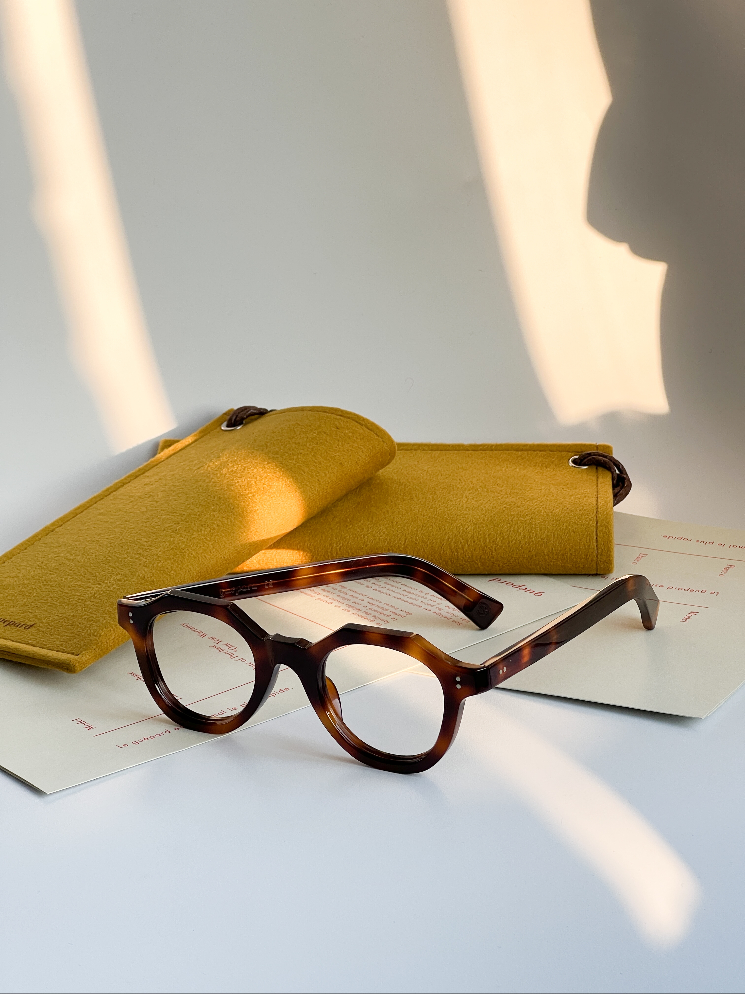 Guepard GP02 E 착용 스타일 - 1