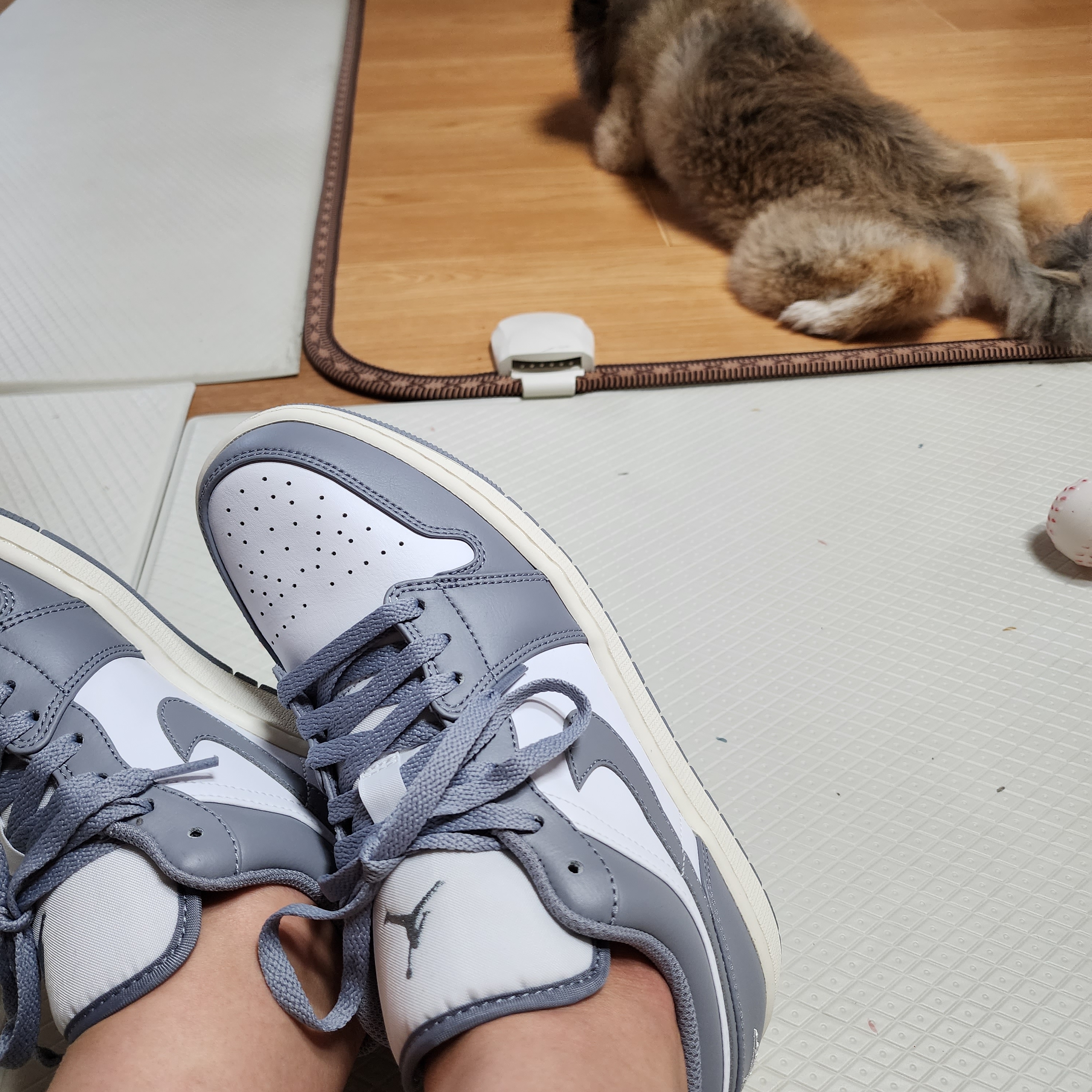 Jordan 1 Low Stealth and White 착용 스타일 - 3
