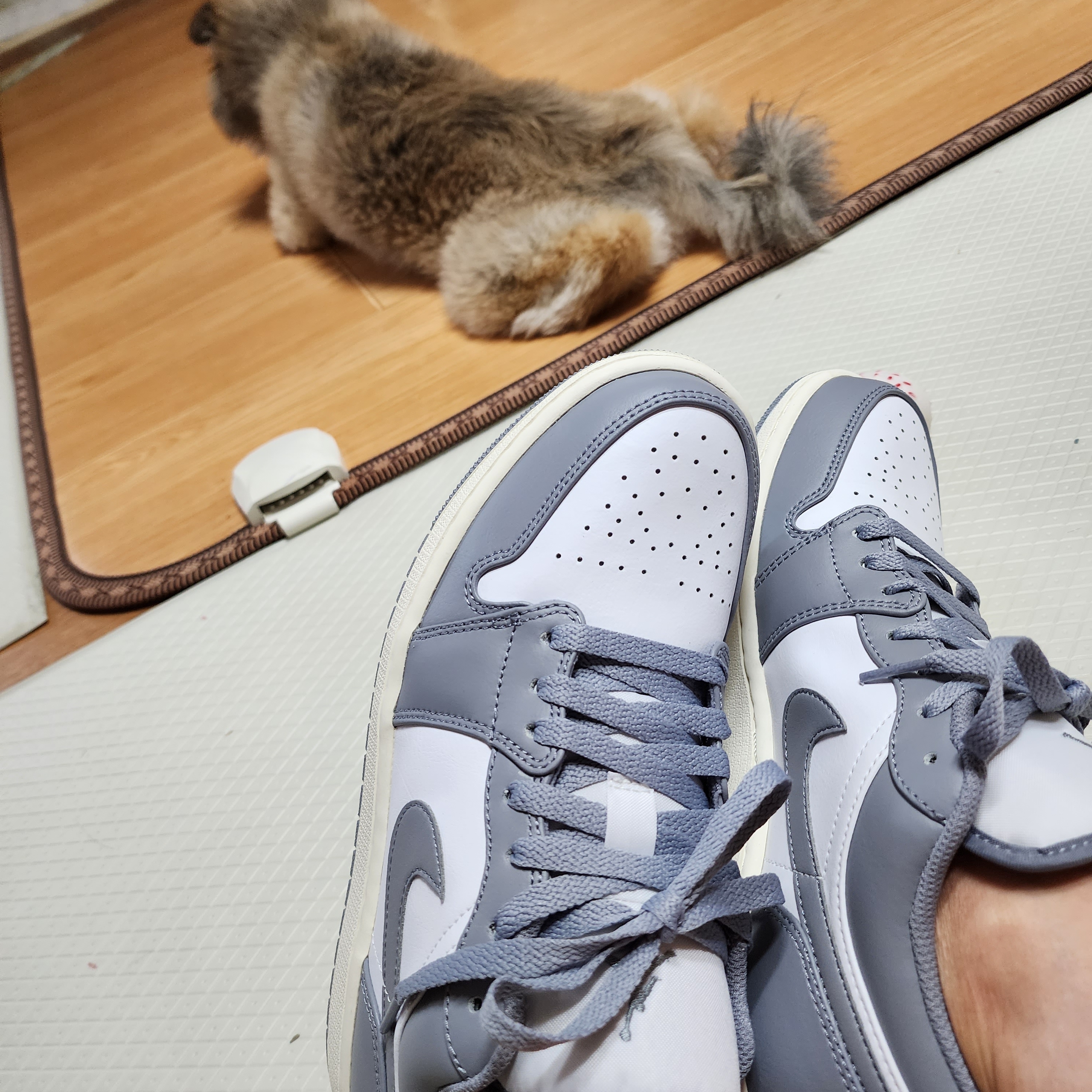 Jordan 1 Low Stealth and White 착용 스타일 - 4