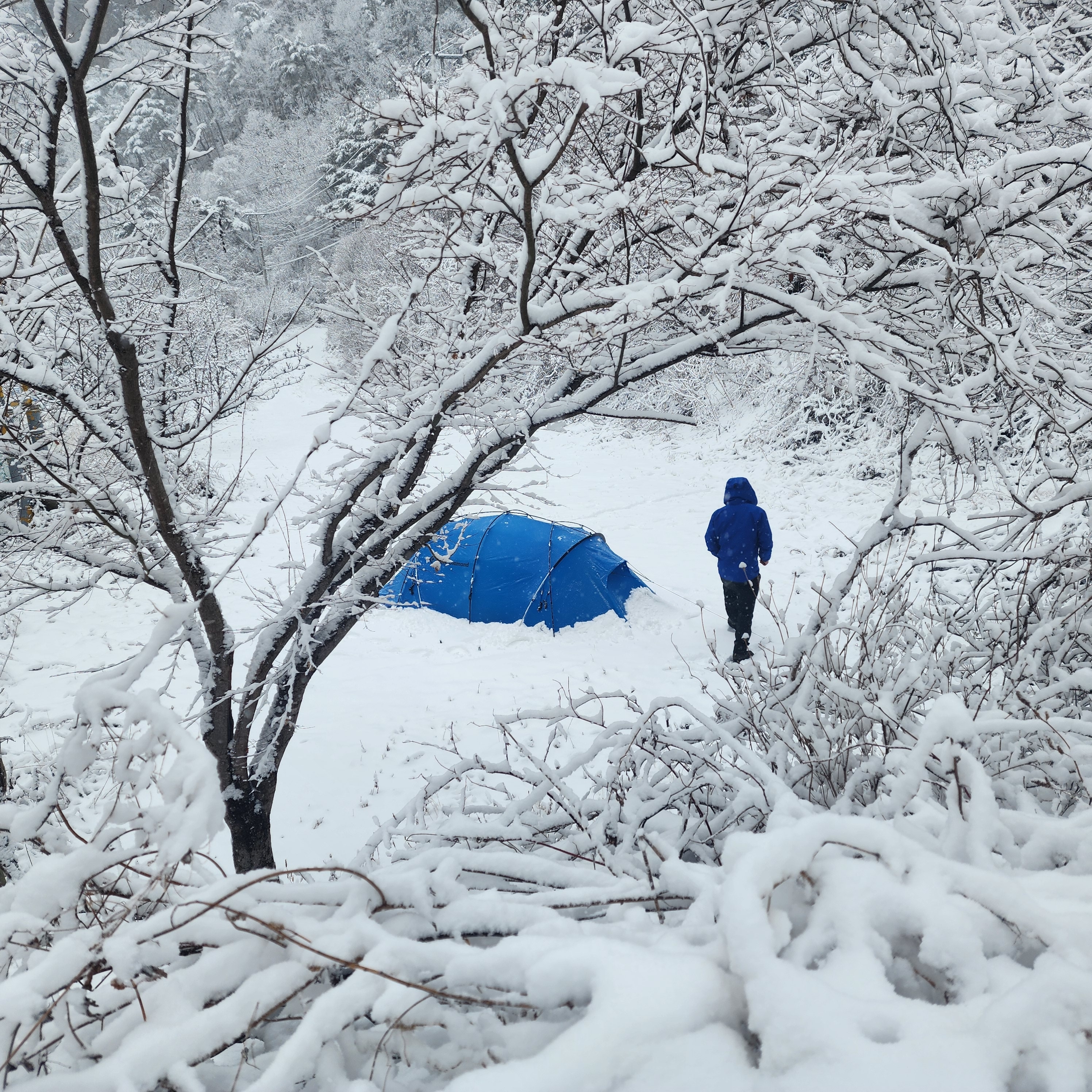 Arc'teryx Beta LT Jacket Vitality, Arc'teryx Gamma MX Pants Black 착용 스타일 - 1