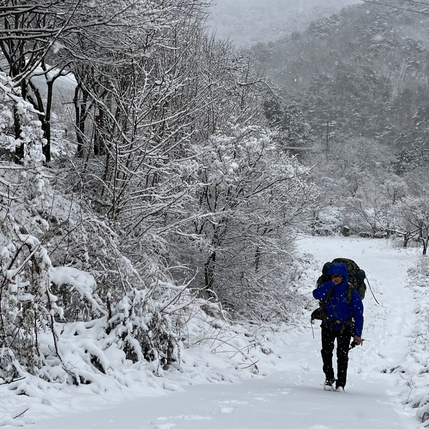 Arc'teryx Beta LT Jacket Vitality, Arc'teryx Gamma MX Pants Black 착용 스타일 - 2