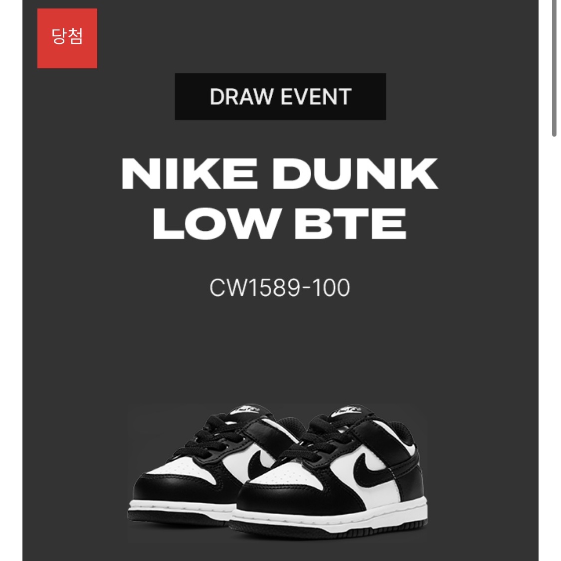(TD) Nike Dunk Low Black 착용 스타일