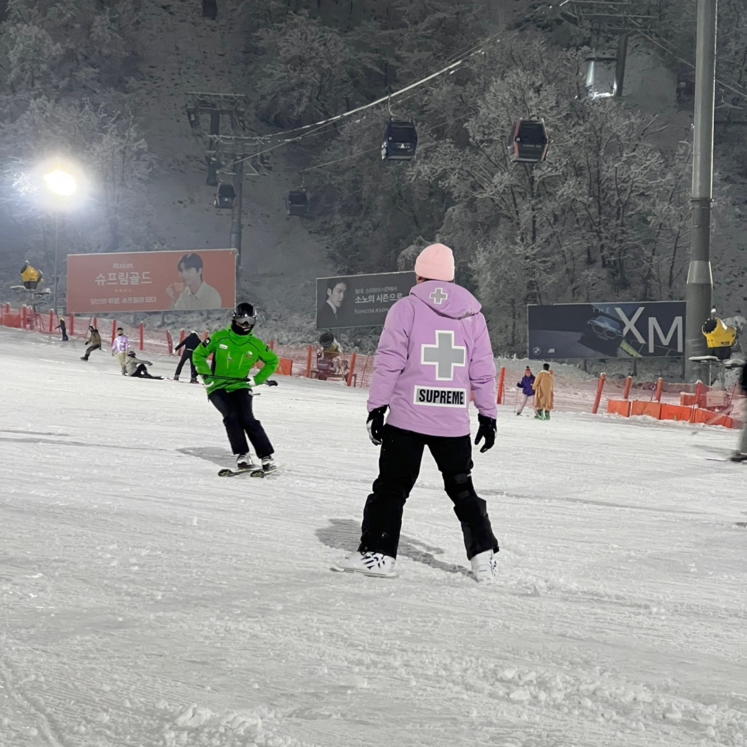 Supreme x The North Face Summit Series Rescue Mountain Pro Jacket Light Purple - 22SS 착용 스타일