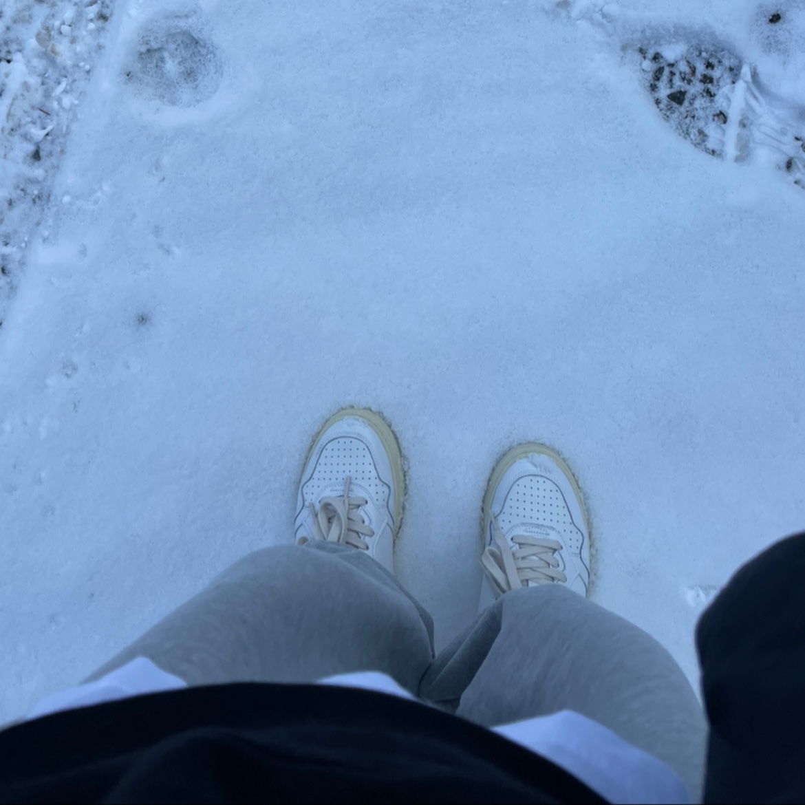 (W) Autry Medalist Low Leather Sneakers White 착용 스타일 - 1