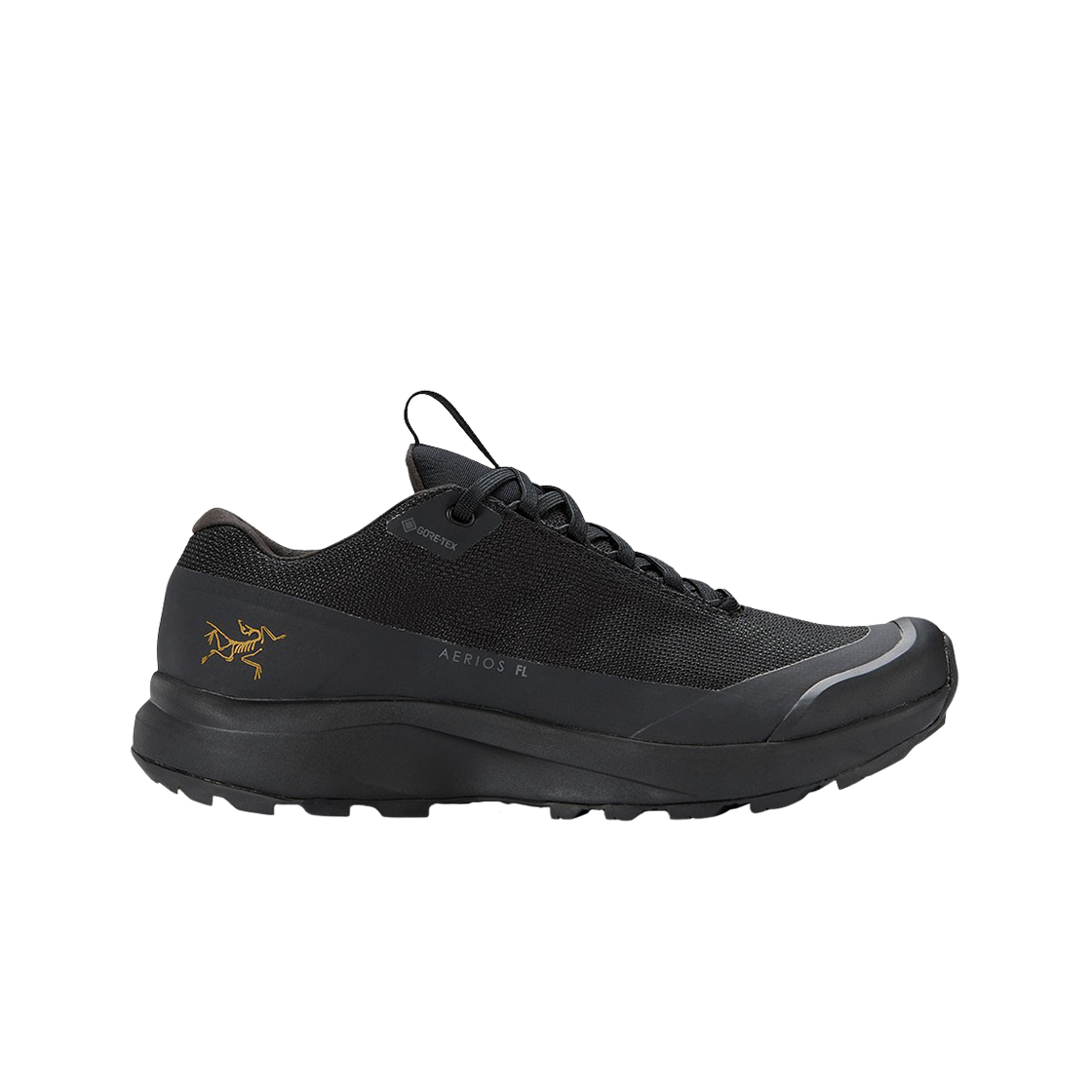 L07973800/521584/6325 (W) Arc'teryx Aerios FL 2 GTX Black