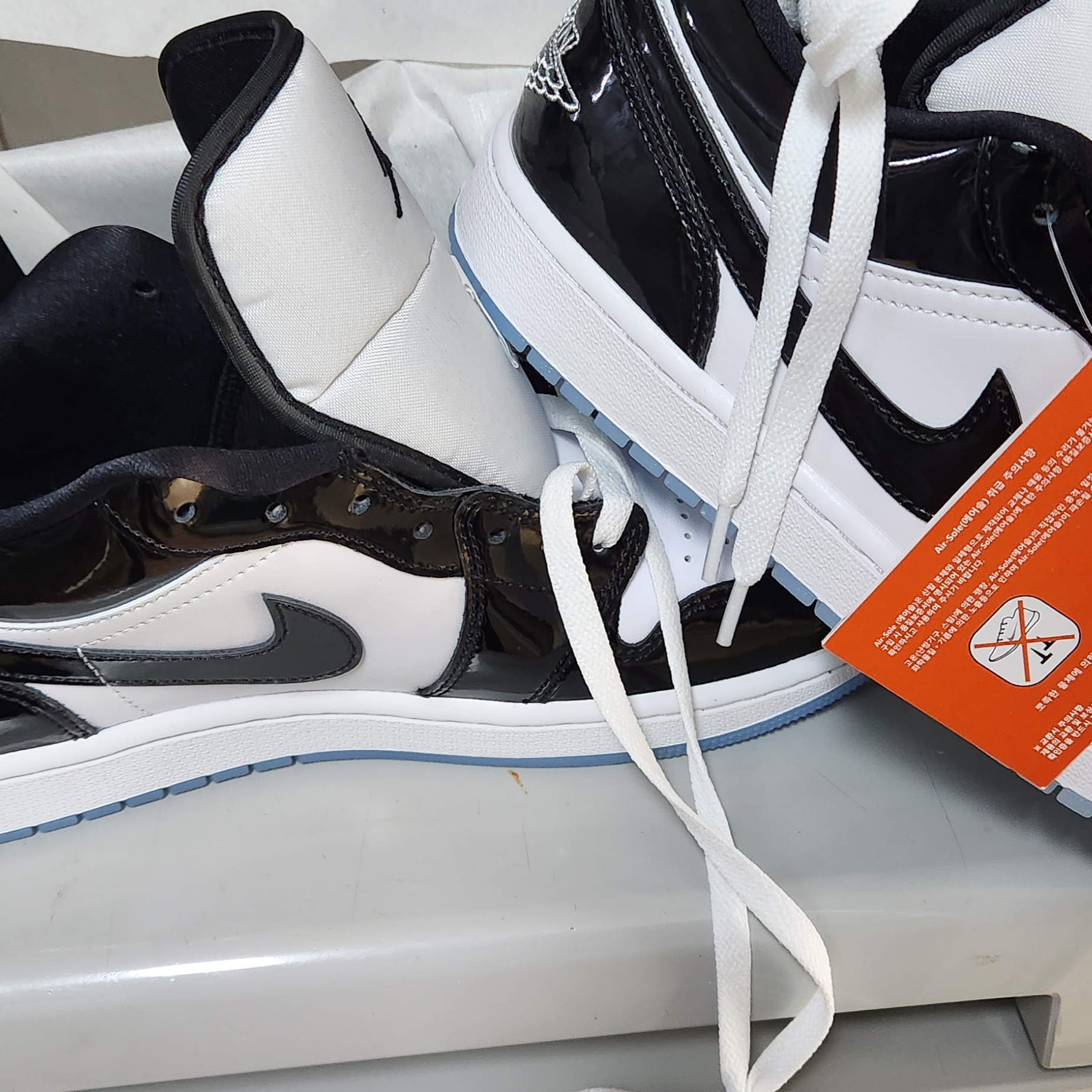Jordan 1 Low SE Concord 착용 스타일 - 4