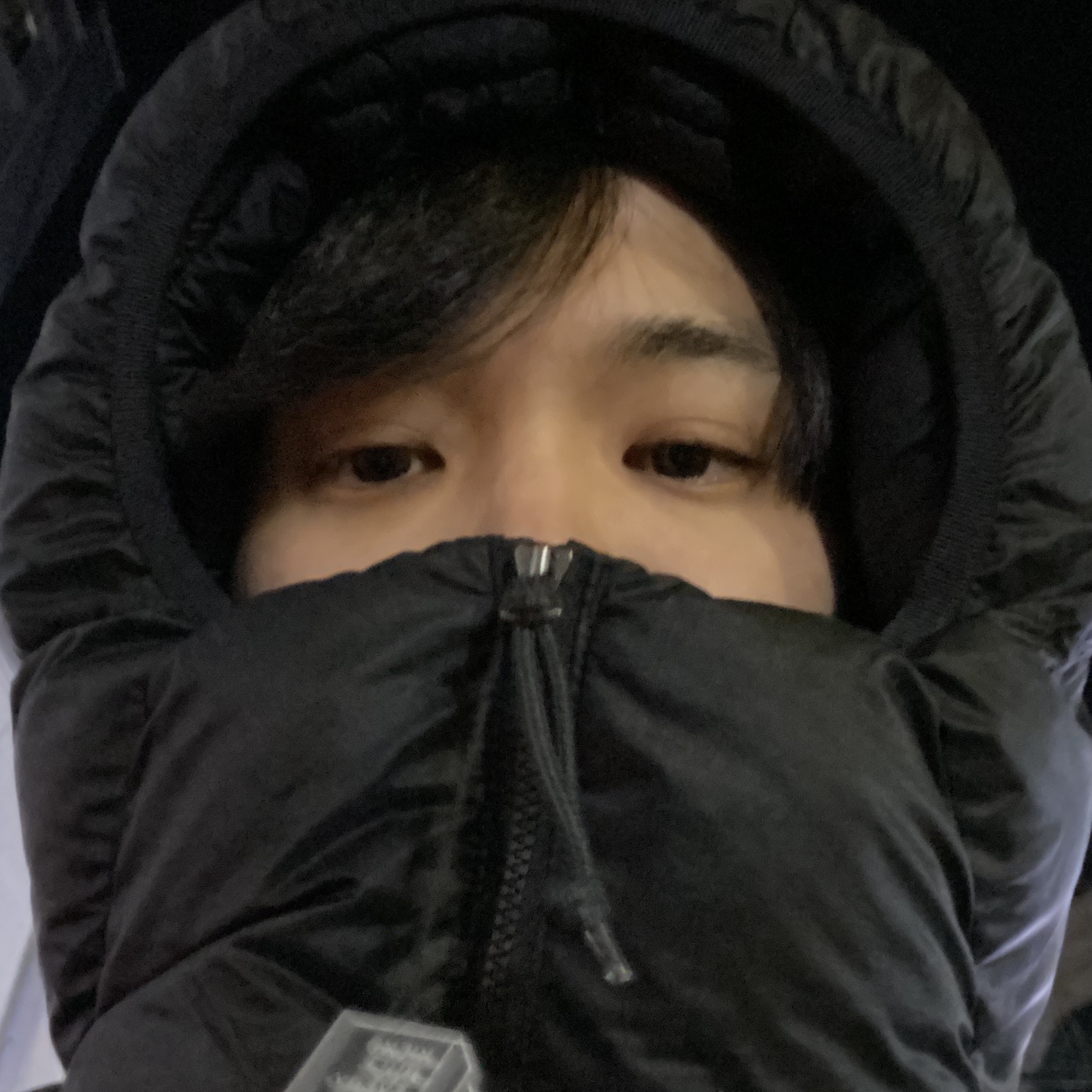Nike ACG Therma-Fit ADV Lunar Lake Puffer Jacket Black - Asia 착용 스타일 - 2
