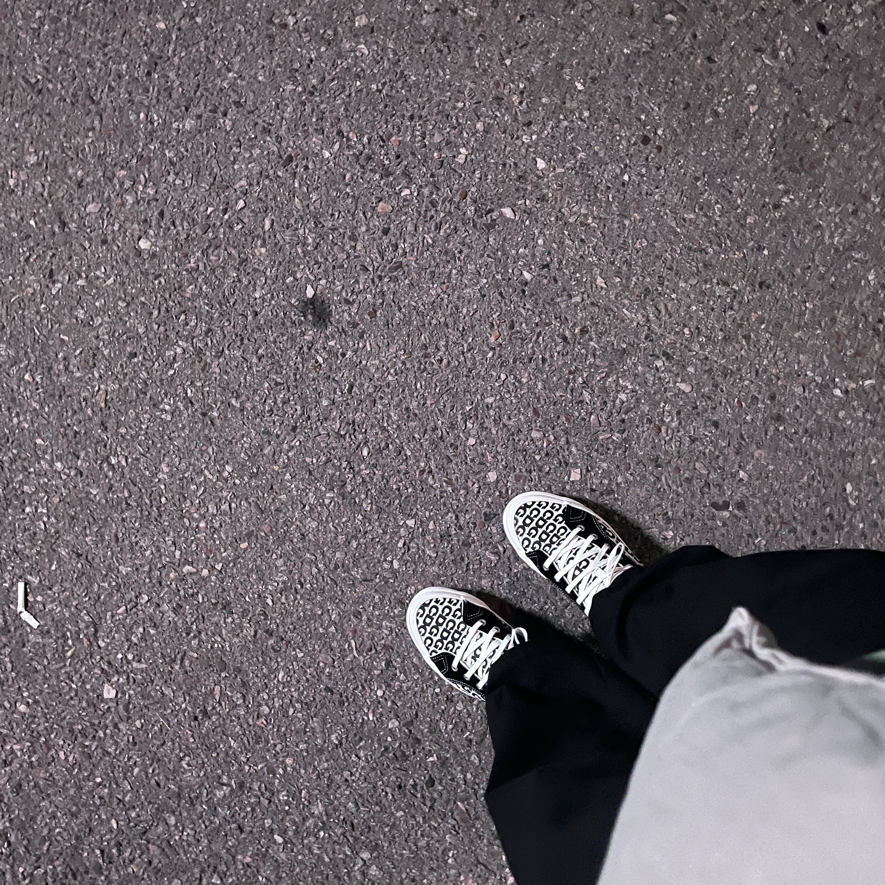 Vans Vault x CDG Lampin LX 2021 착용 스타일 - 3