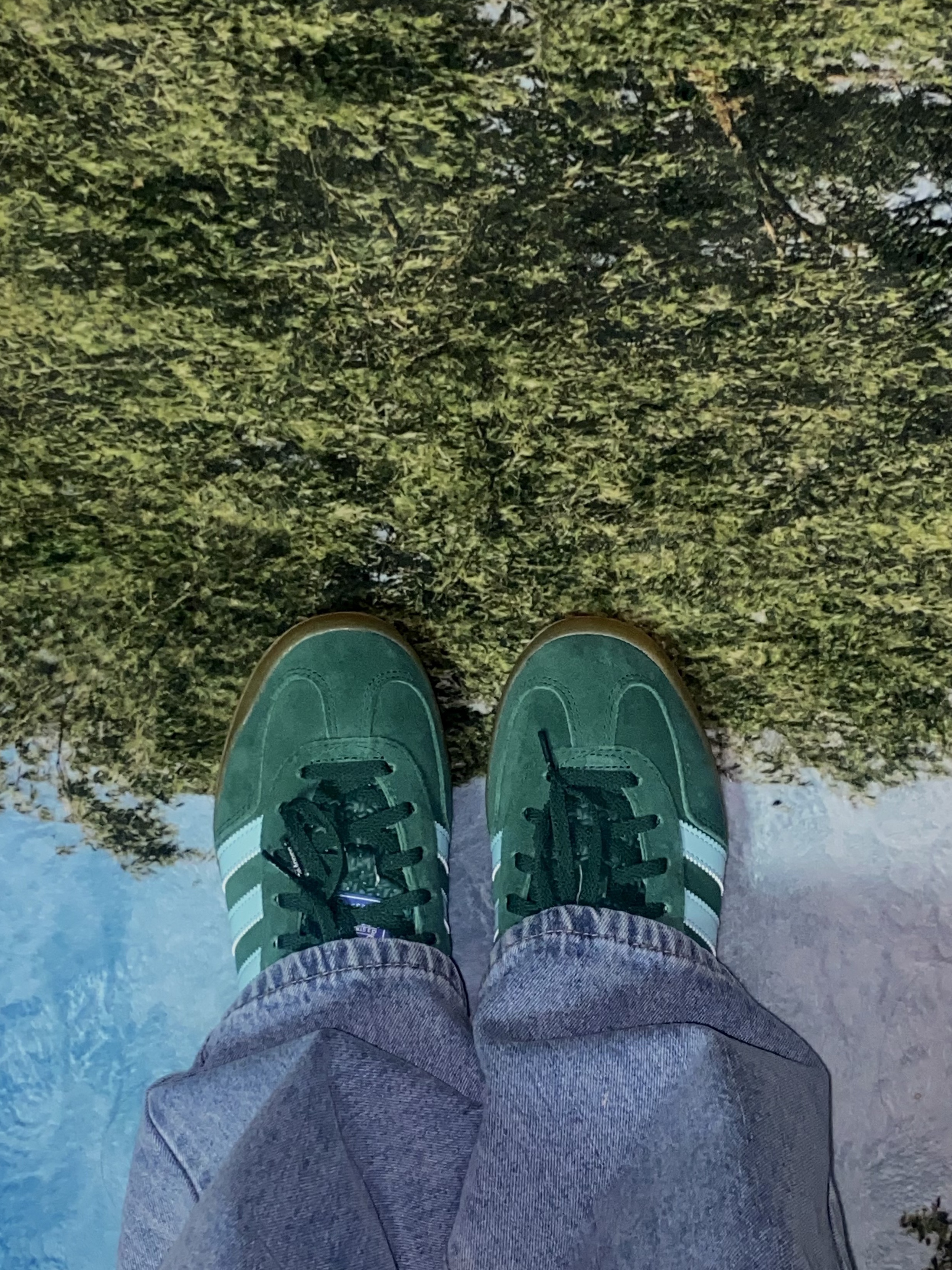 Adidas Gazelle Indoor Collegiate Green Hazy Sky 착용 스타일 - 2