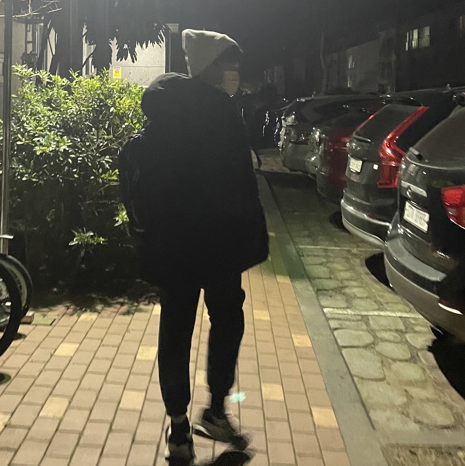 Supreme Backpack Black - 22FW 착용 스타일