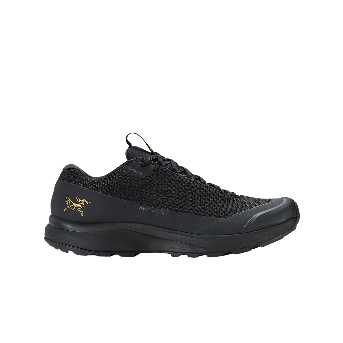 아크테릭스 에어리어스 FL 2 고어텍스 블랙(Arc'teryx Aerios FL 2 GTX Black)