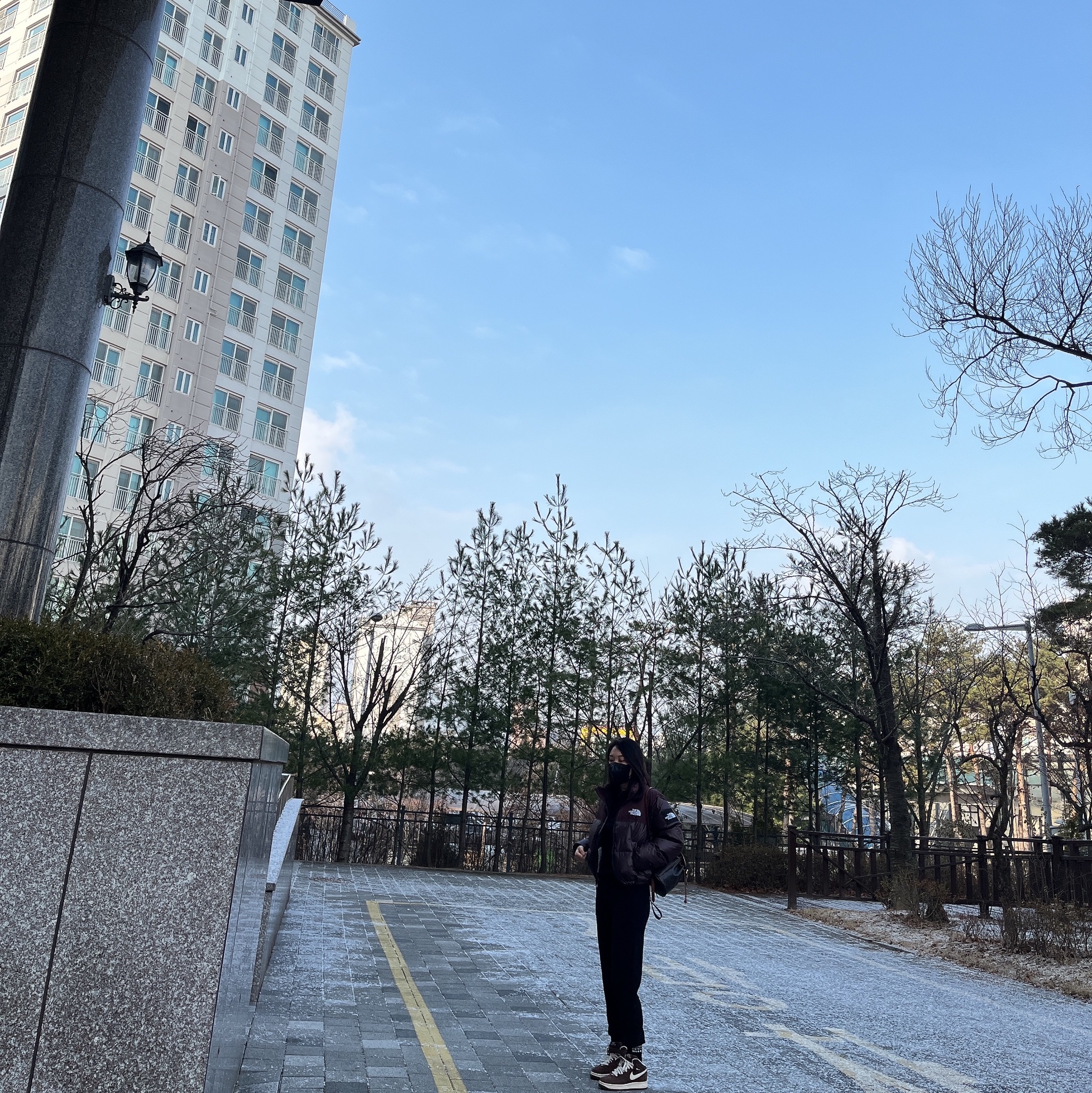 (W) The North Face White Label Novelty Nuptse Down Jacket Cocoa Brown 착용 스타일