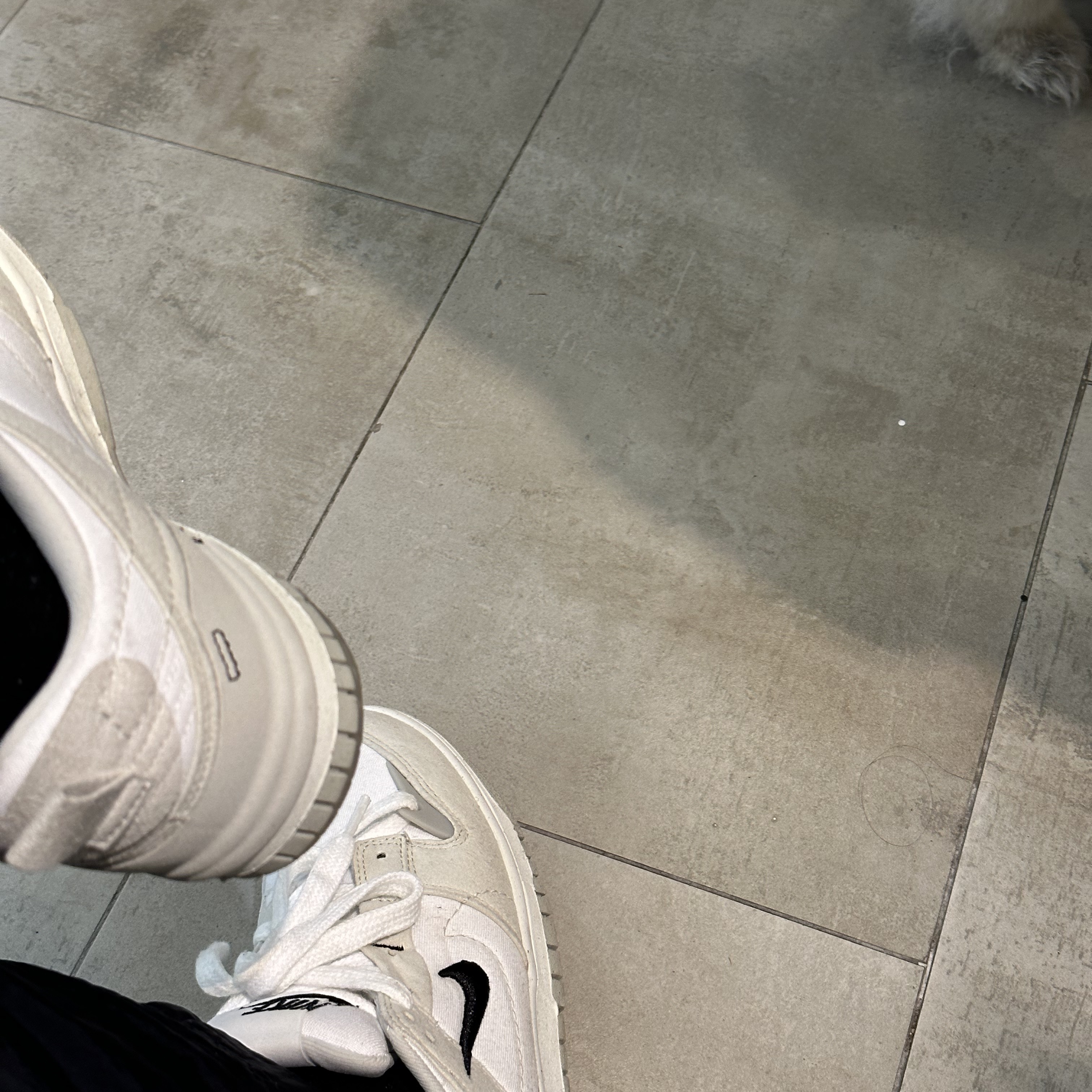 (W) Nike Dunk Low Disrupt 2 White Light Bone 착용 스타일