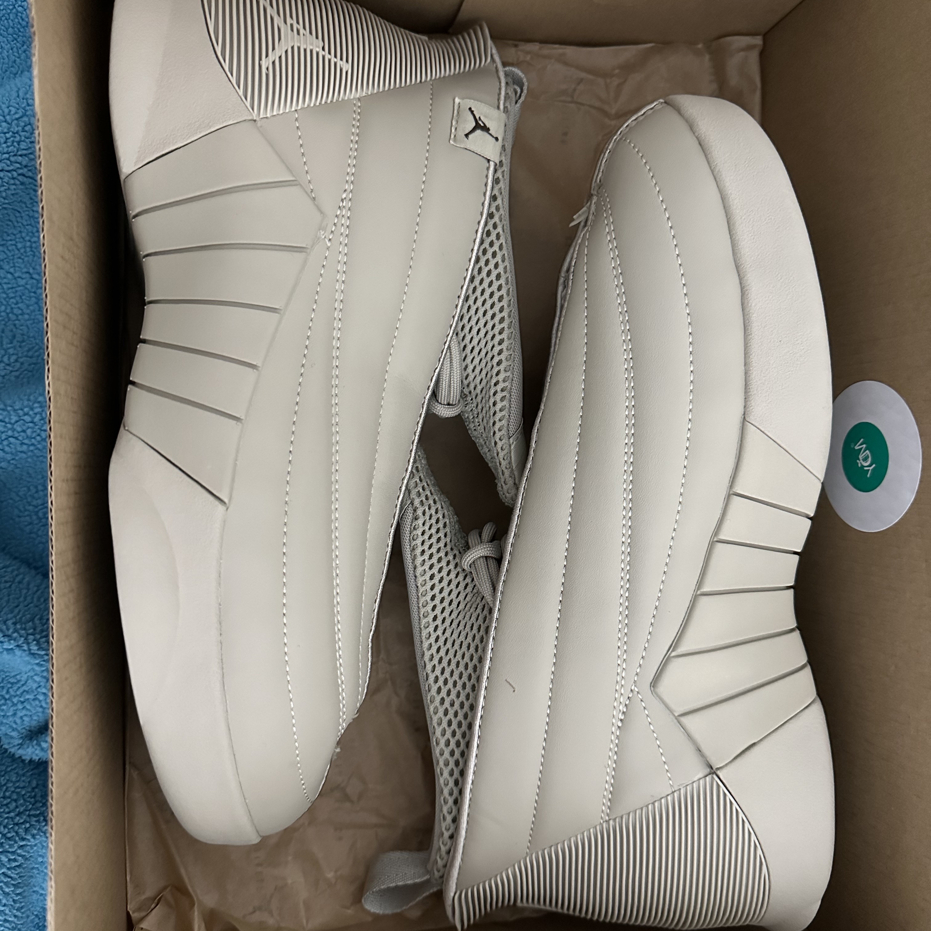 (W) Jordan 15 x Billie Eilish Retro SP Beige 착용 스타일