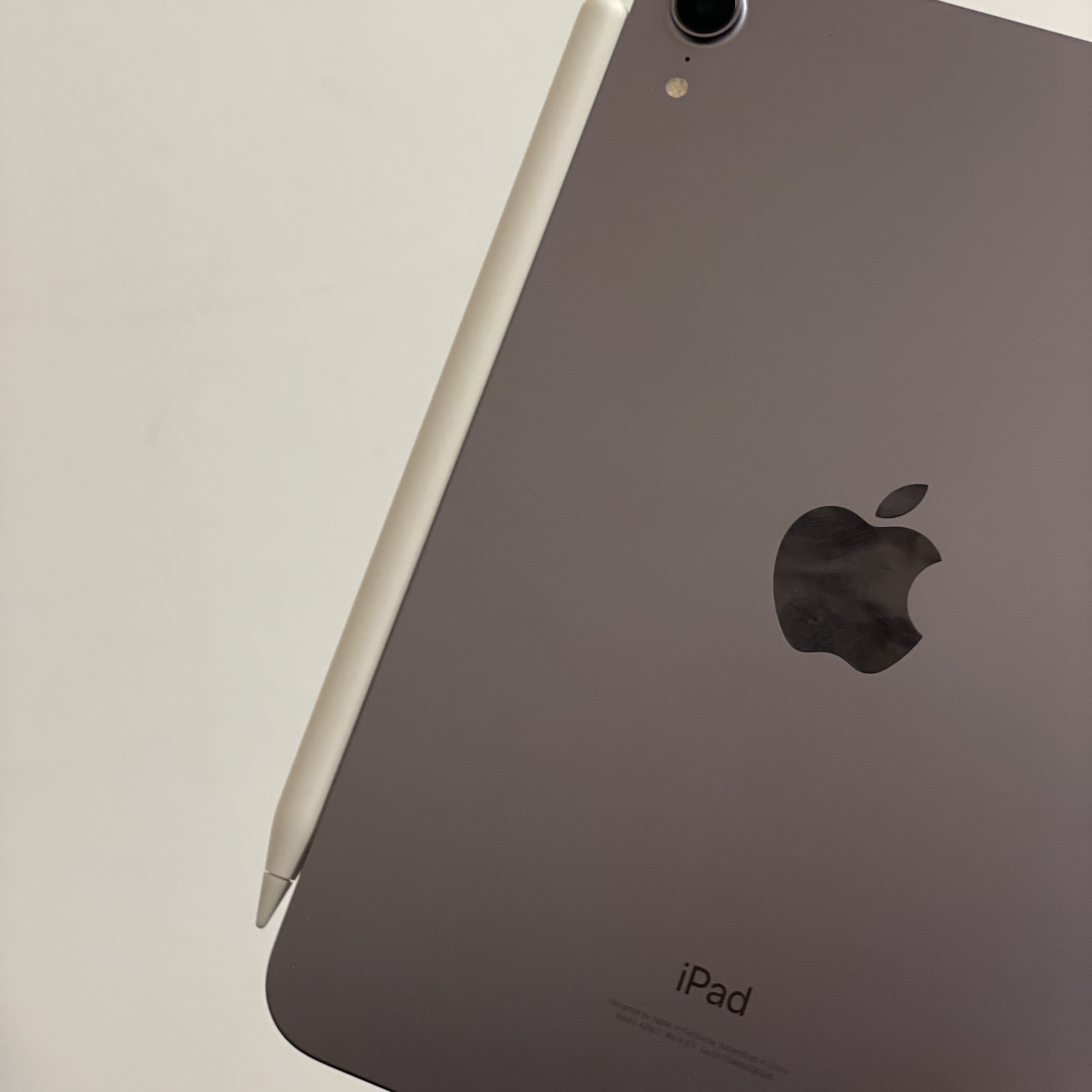 Apple iPad Mini 6th Gen Wifi 64GB Purple (Korean Ver.) 착용 스타일 - 1