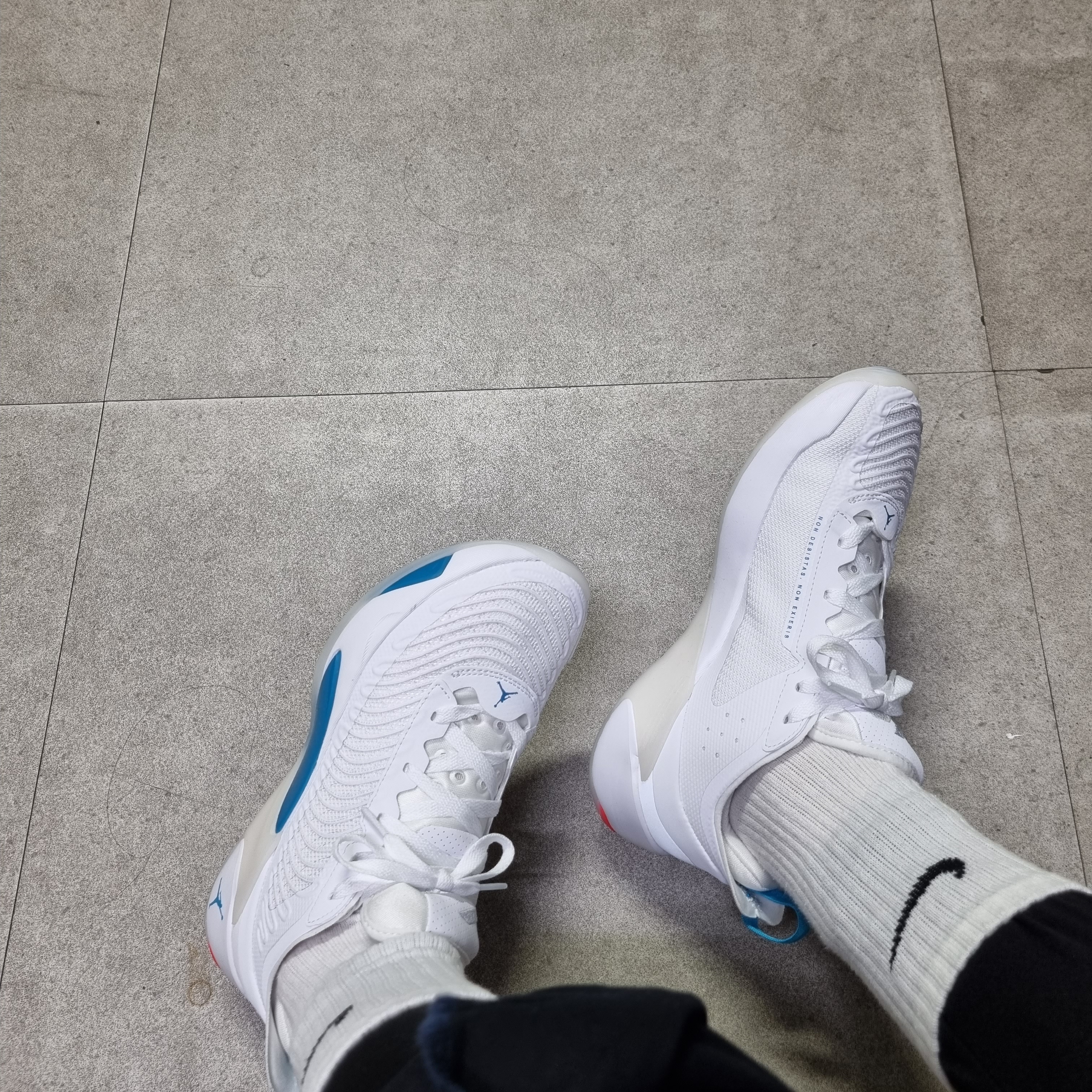 Jordan Luka 1 PF Neo Turquoise 착용 스타일 - 2