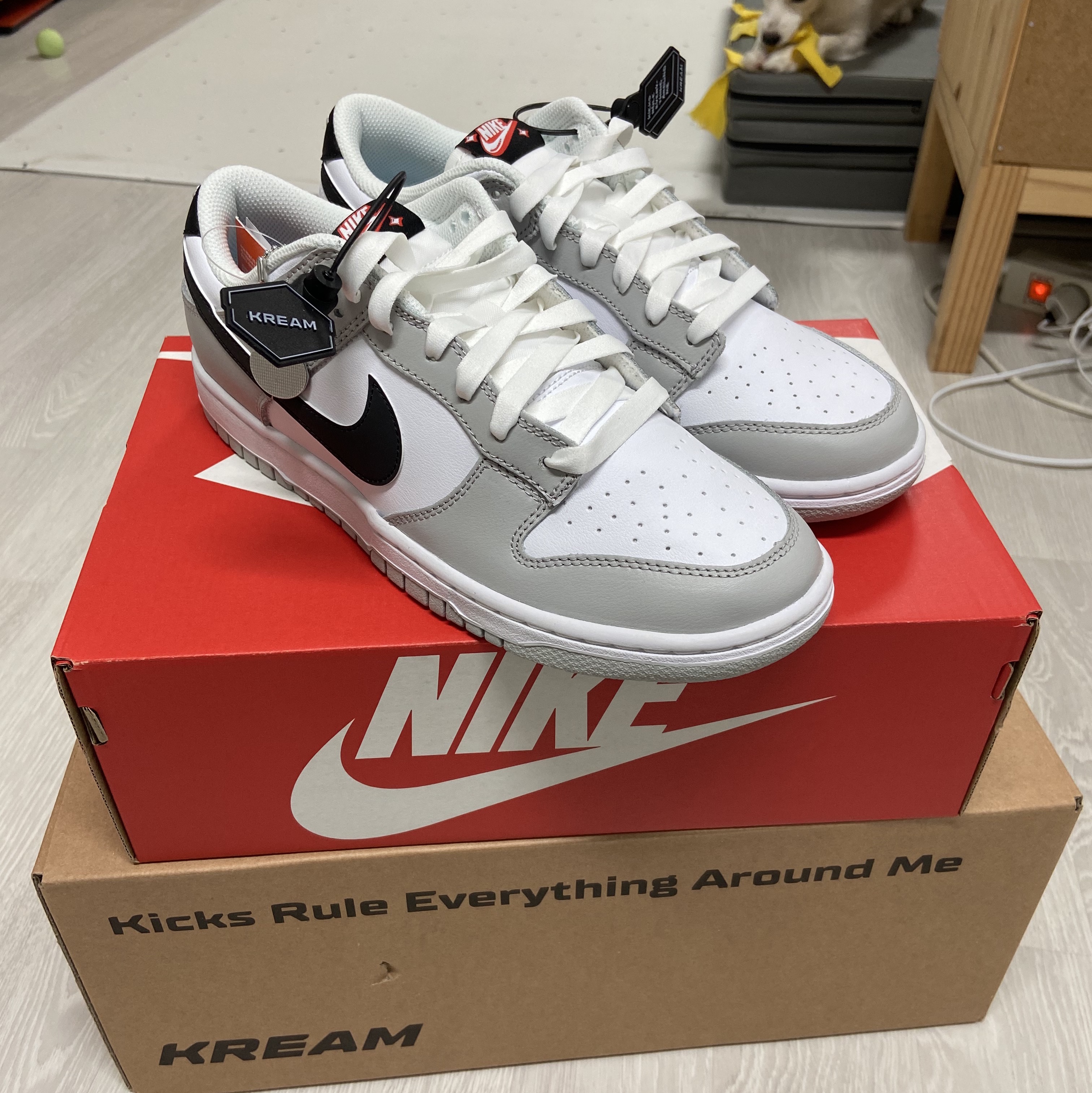 Nike Dunk Low Retro SE Jackpot Grey Fog 착용 스타일 - 1