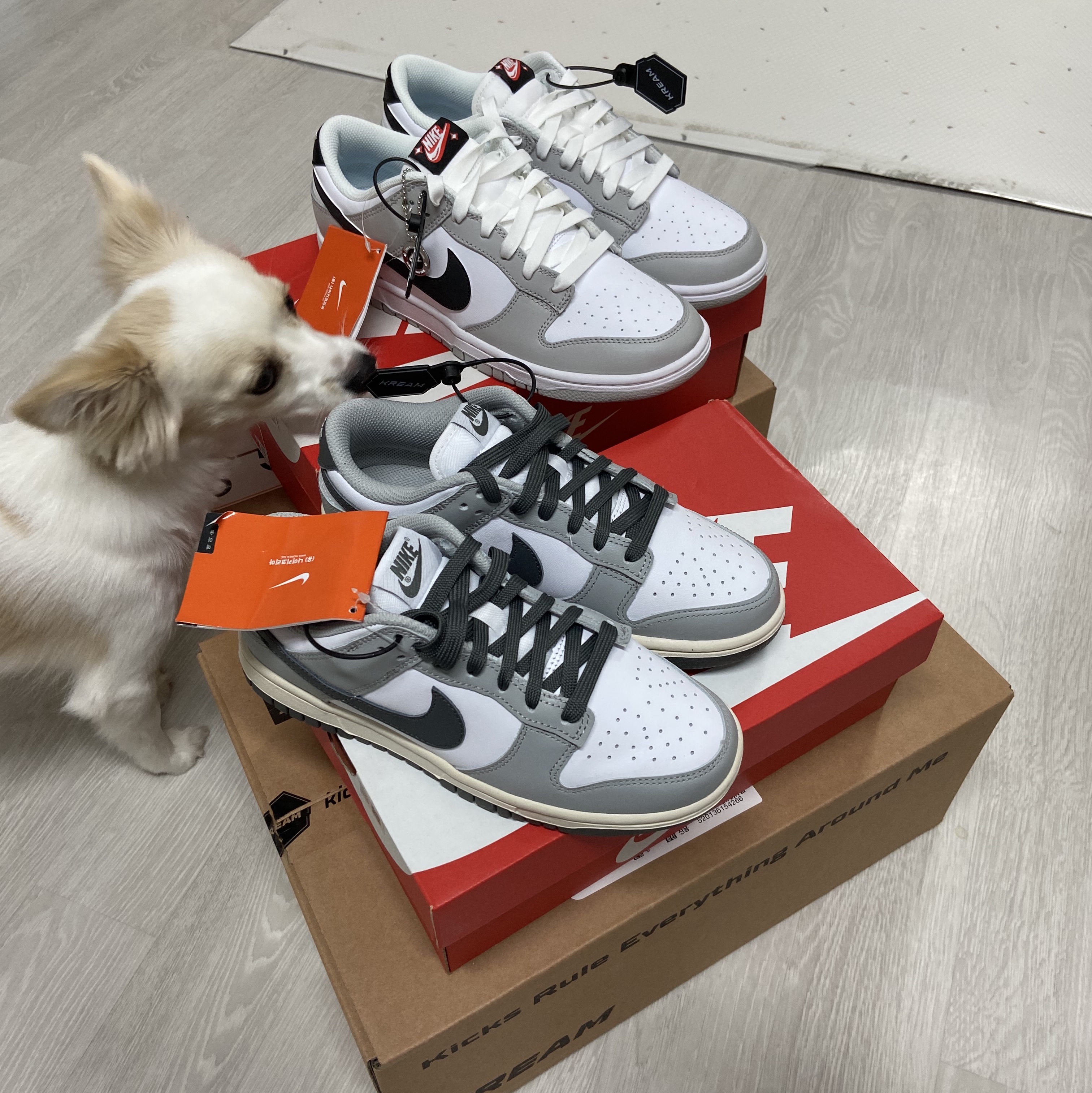 Nike Dunk Low Retro SE Jackpot Grey Fog 착용 스타일 - 2