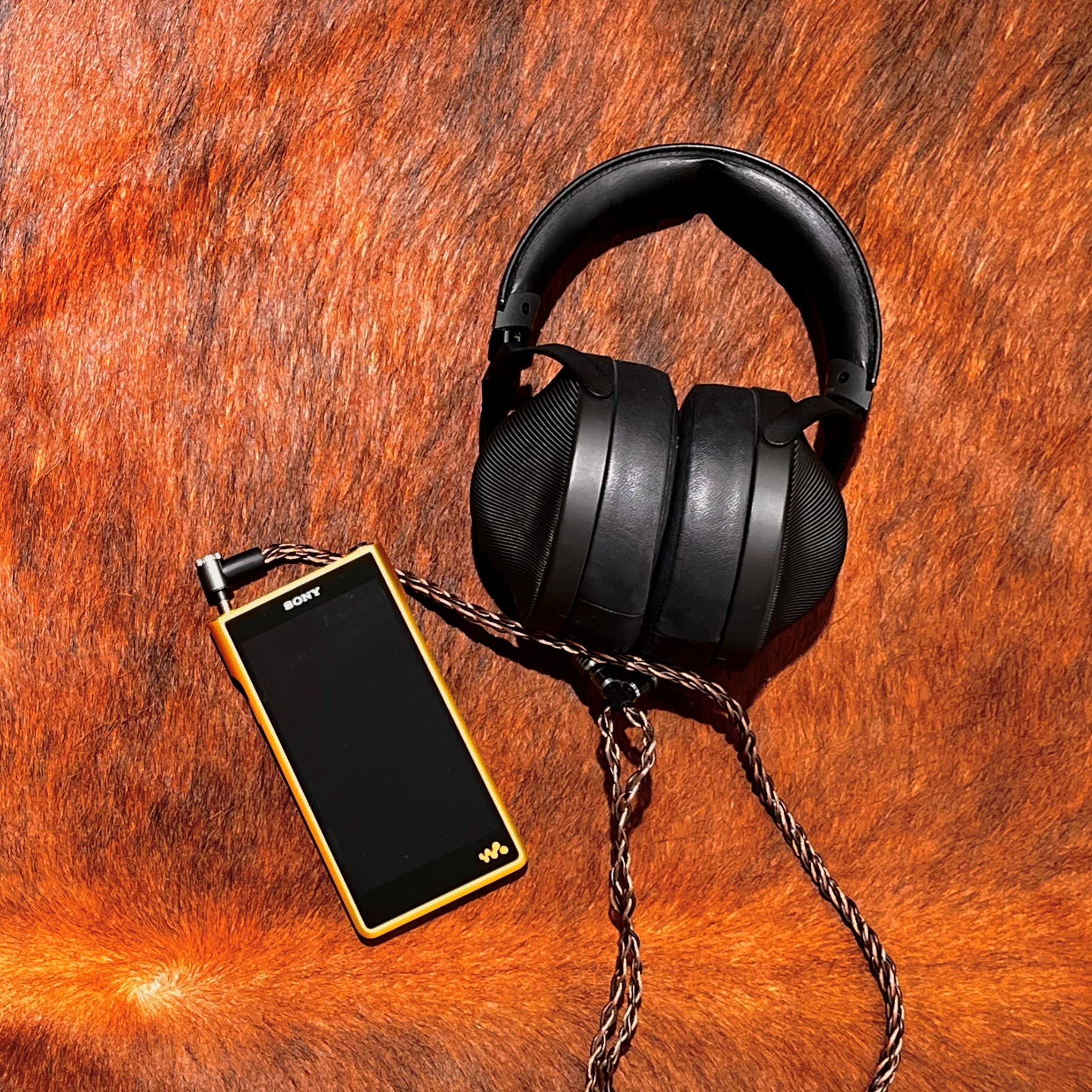 Sony NW-WM1ZM2 Gold (Sony Korea Ver.) 착용 스타일