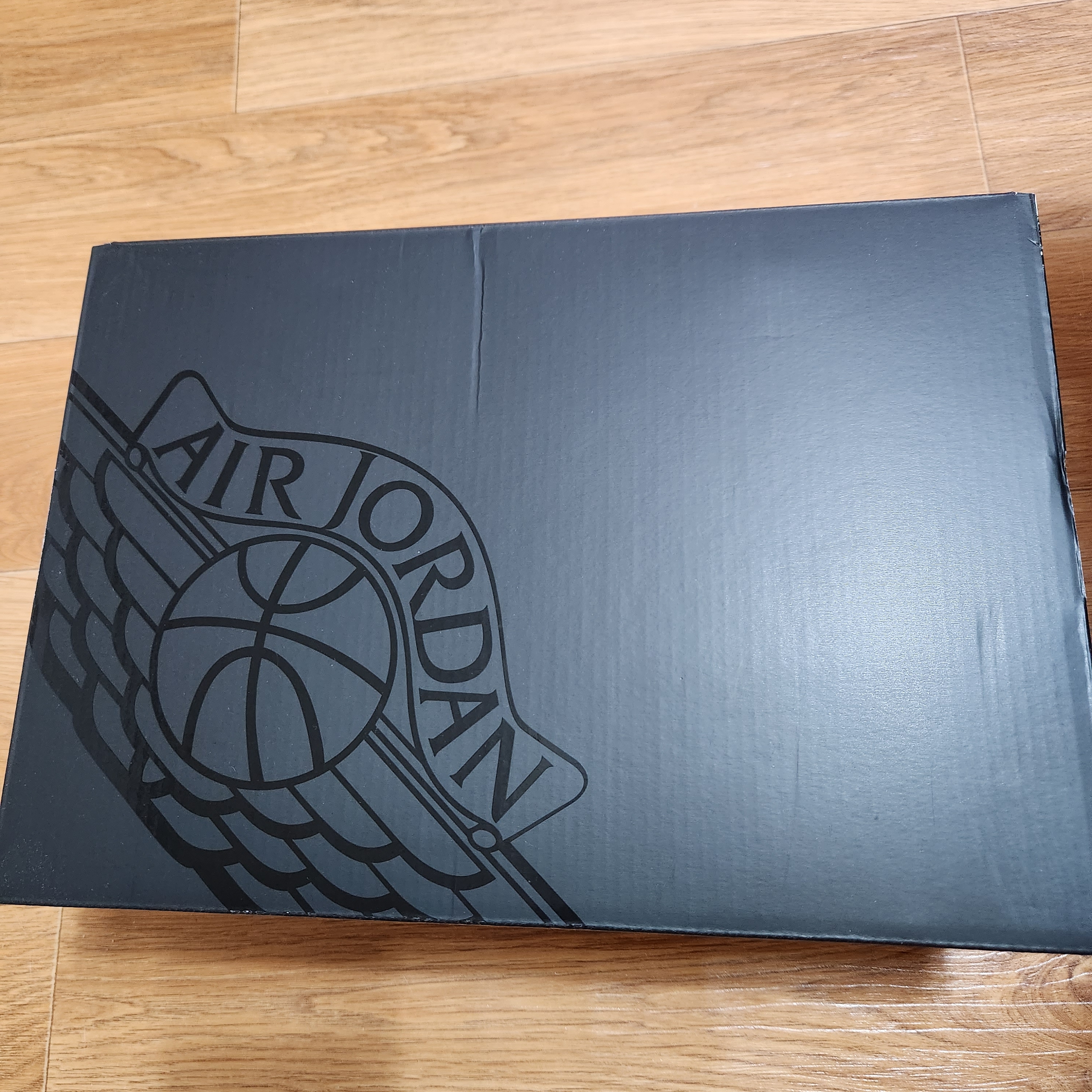Jordan 1 Low SE Concord 착용 스타일 - 3