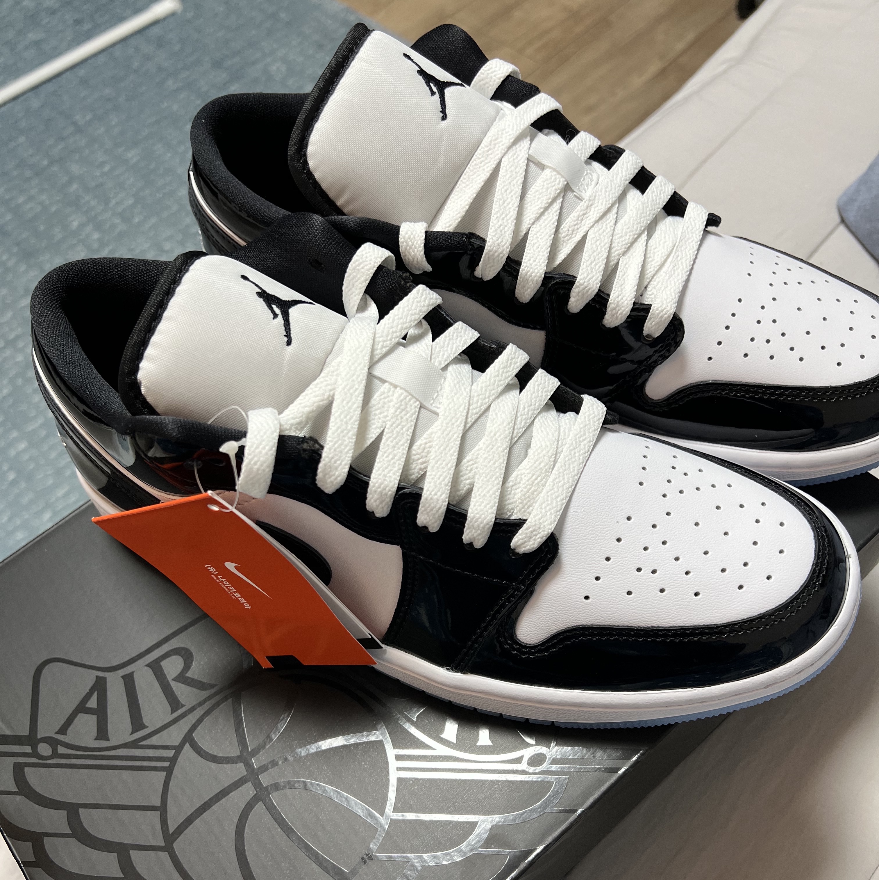 Jordan 1 Low SE Concord 착용 스타일 - 1