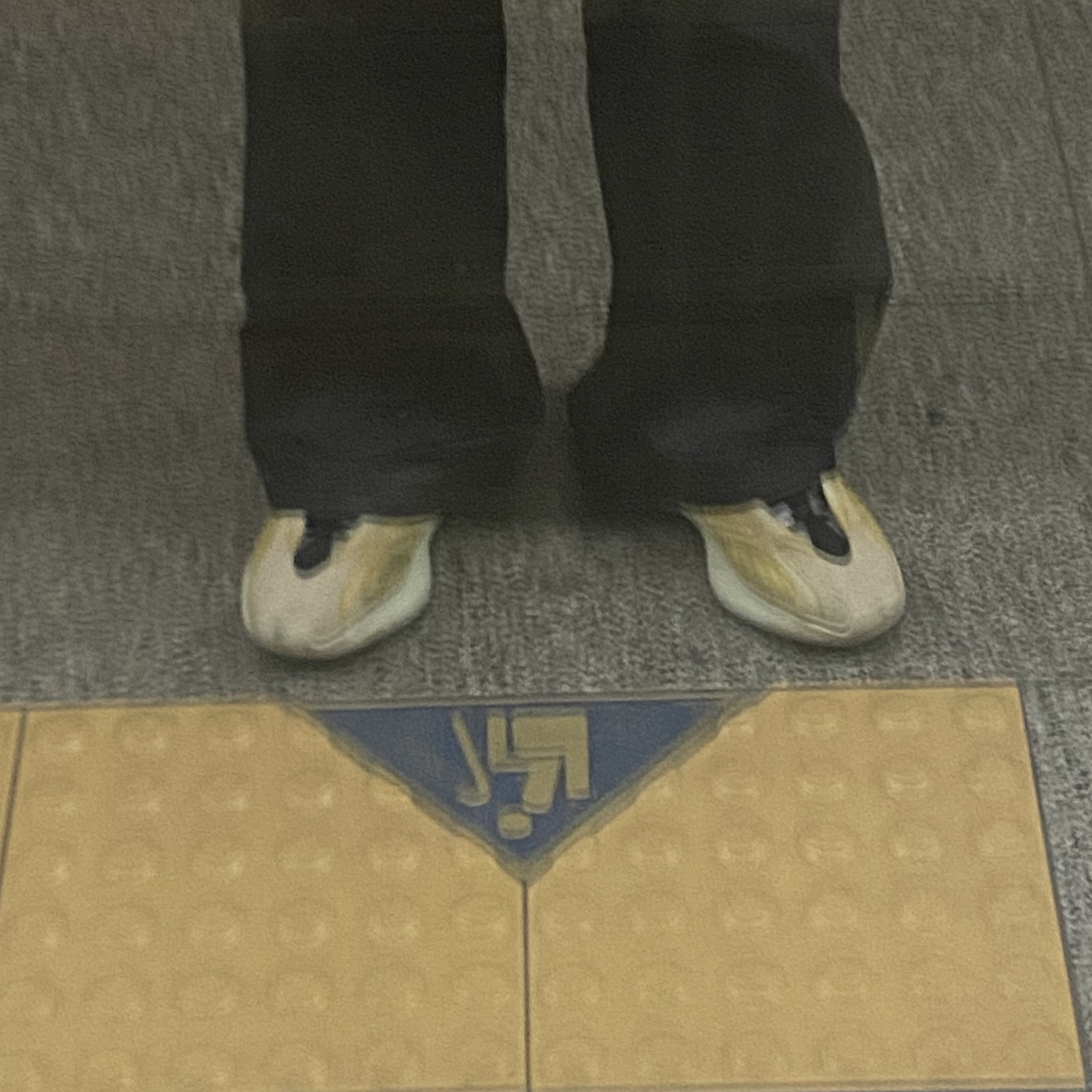 Adidas Yeezy 700 V3 Mono Safflower 착용 스타일