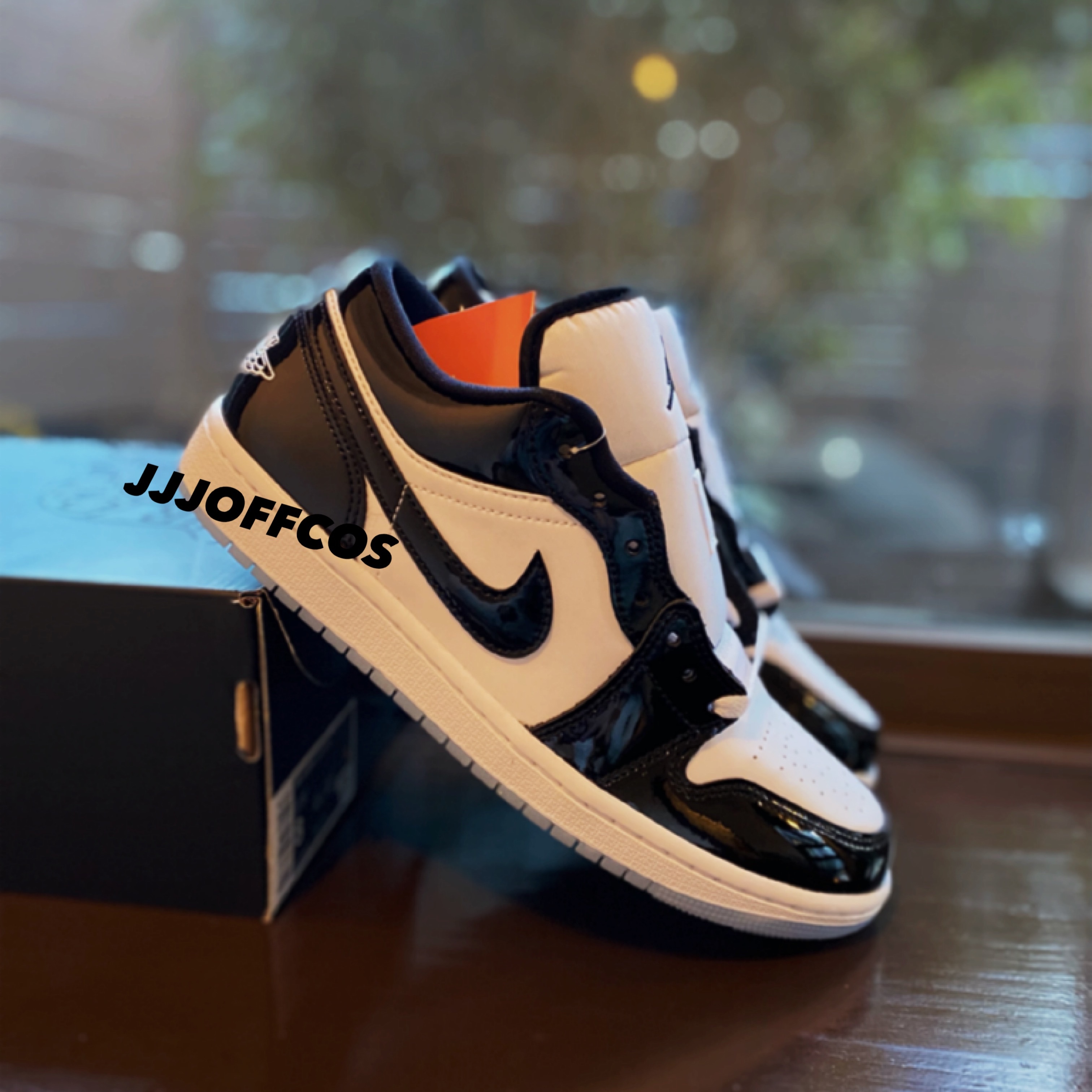Jordan 1 Low SE Concord 착용 스타일