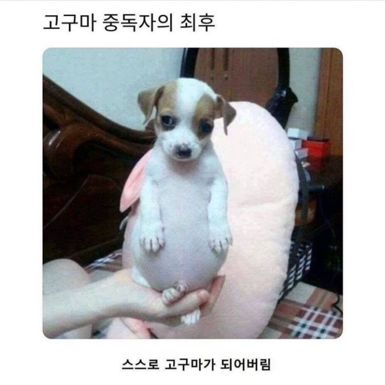 icw9077님의 스타일
