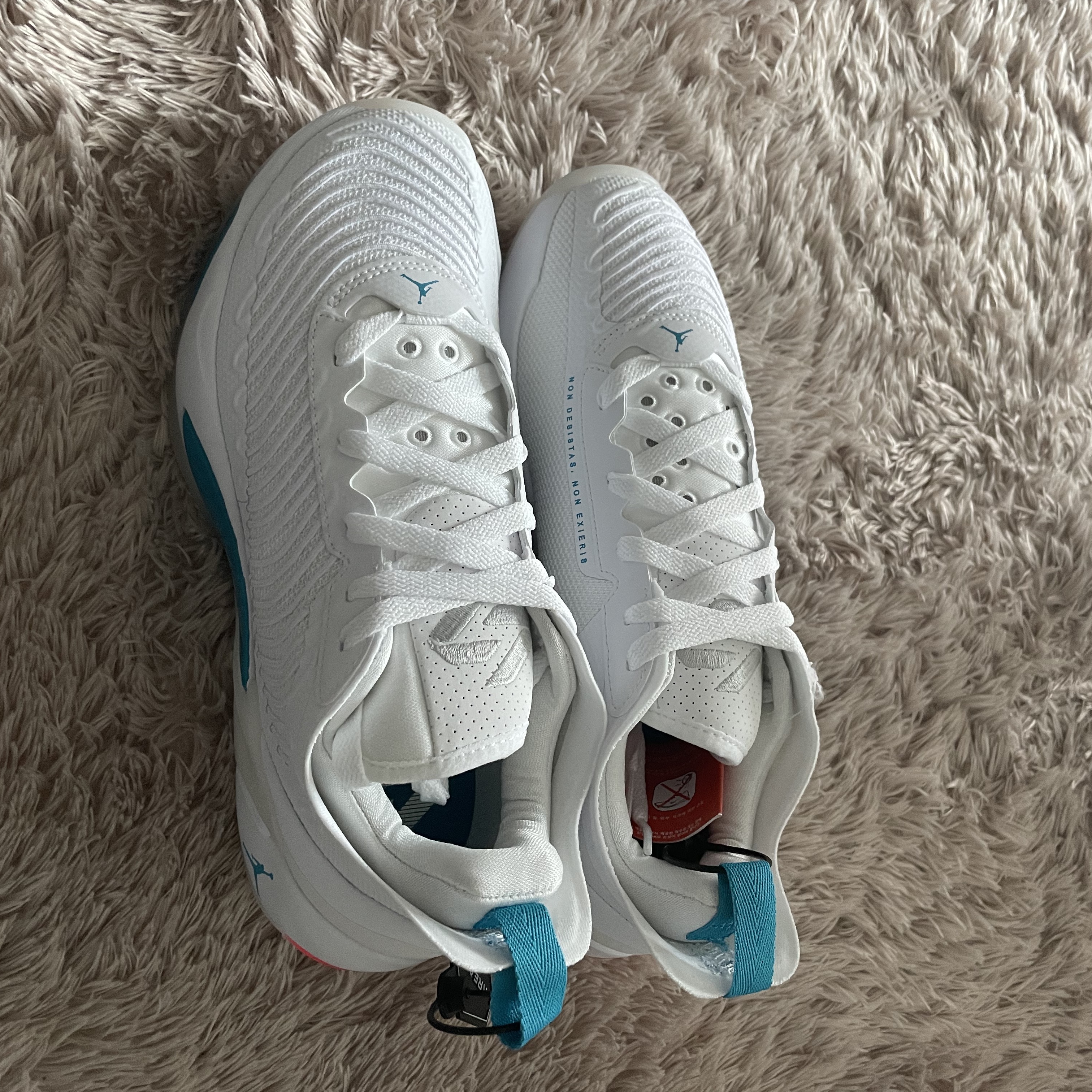 Jordan Luka 1 PF Neo Turquoise 착용 스타일