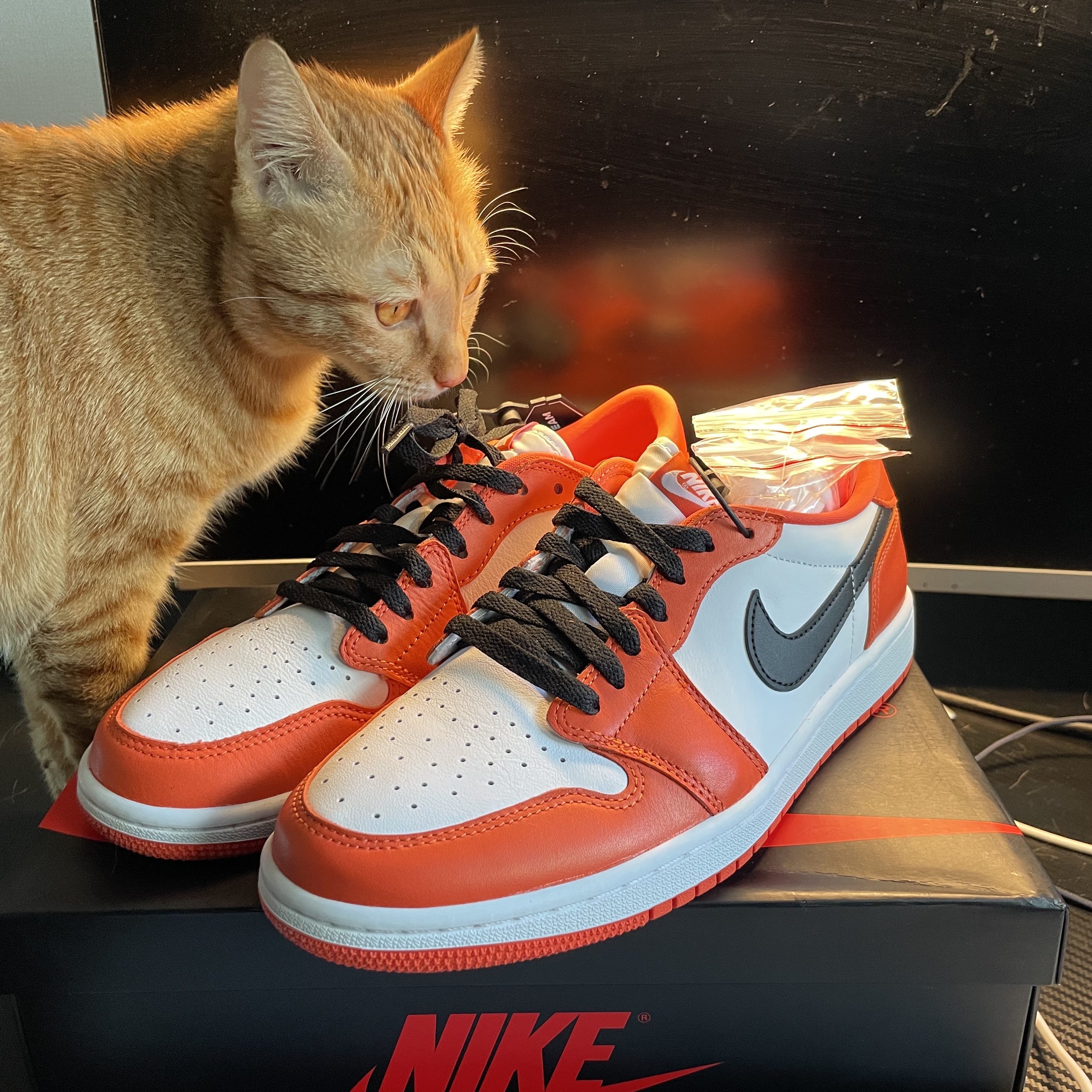 Jordan 1 Low OG Starfish 착용 스타일 - 2