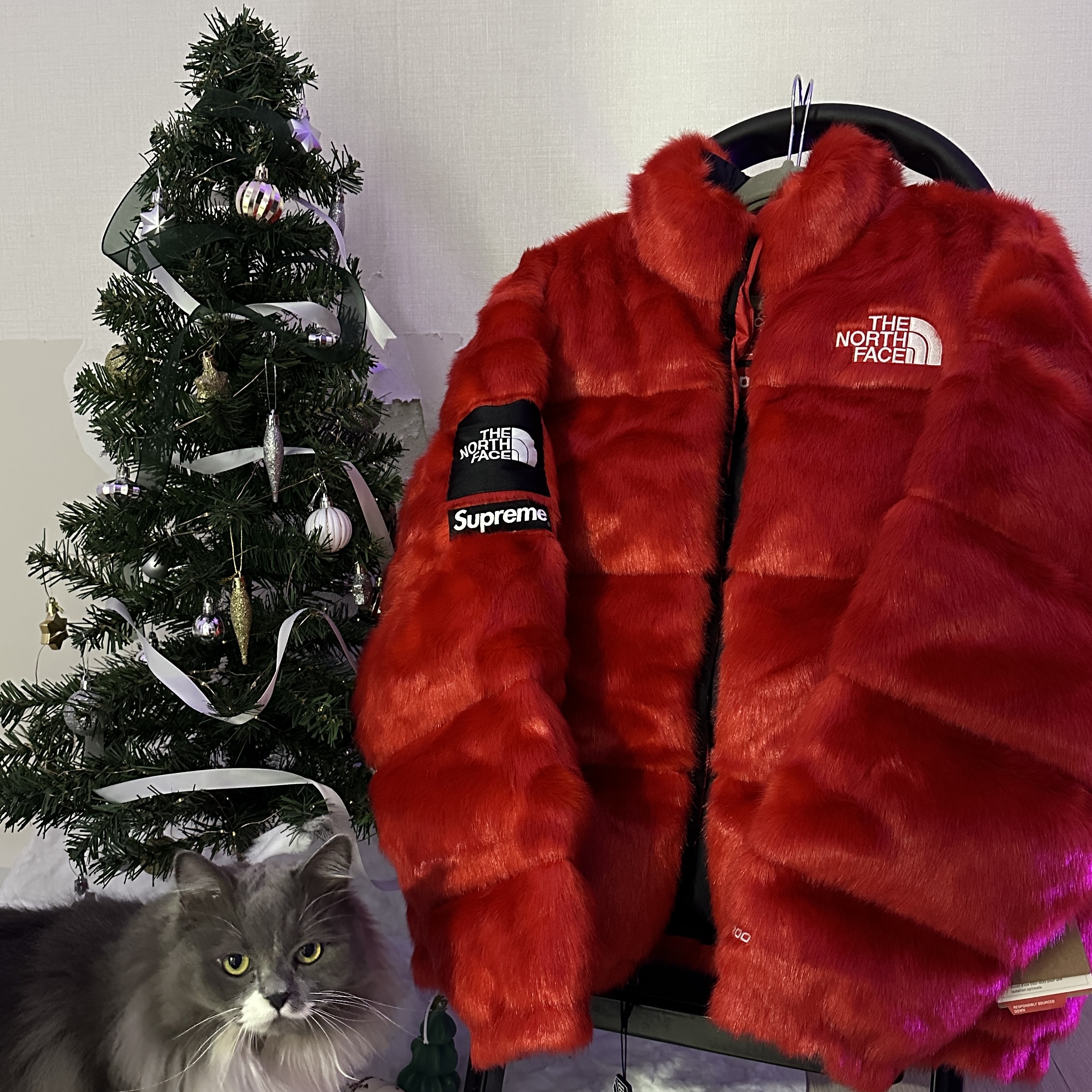 Supreme x The North Face Faux Fur Nuptse Jacket Red - 20FW 착용 스타일