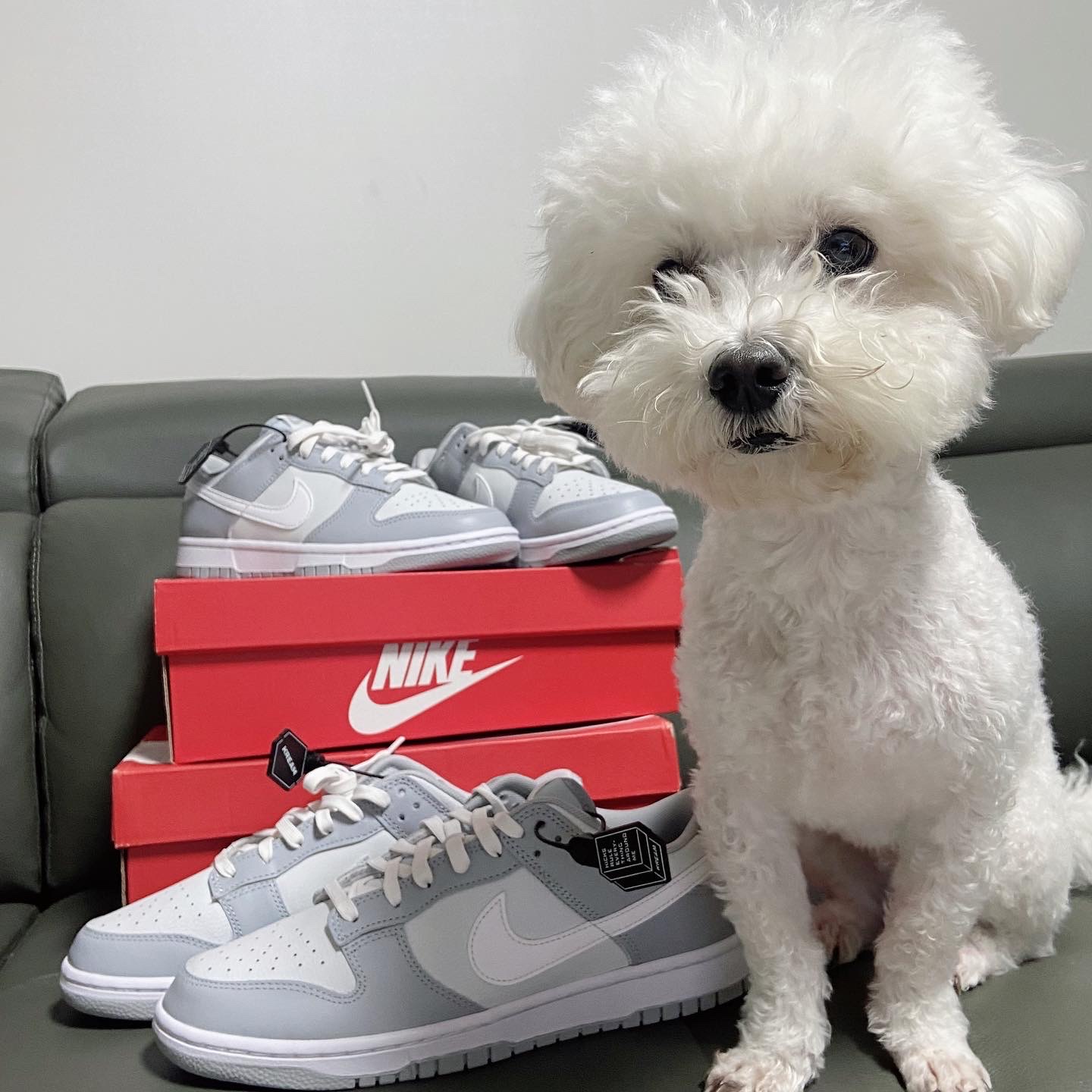 Nike Dunk Low Retro Wolf Grey 착용 스타일