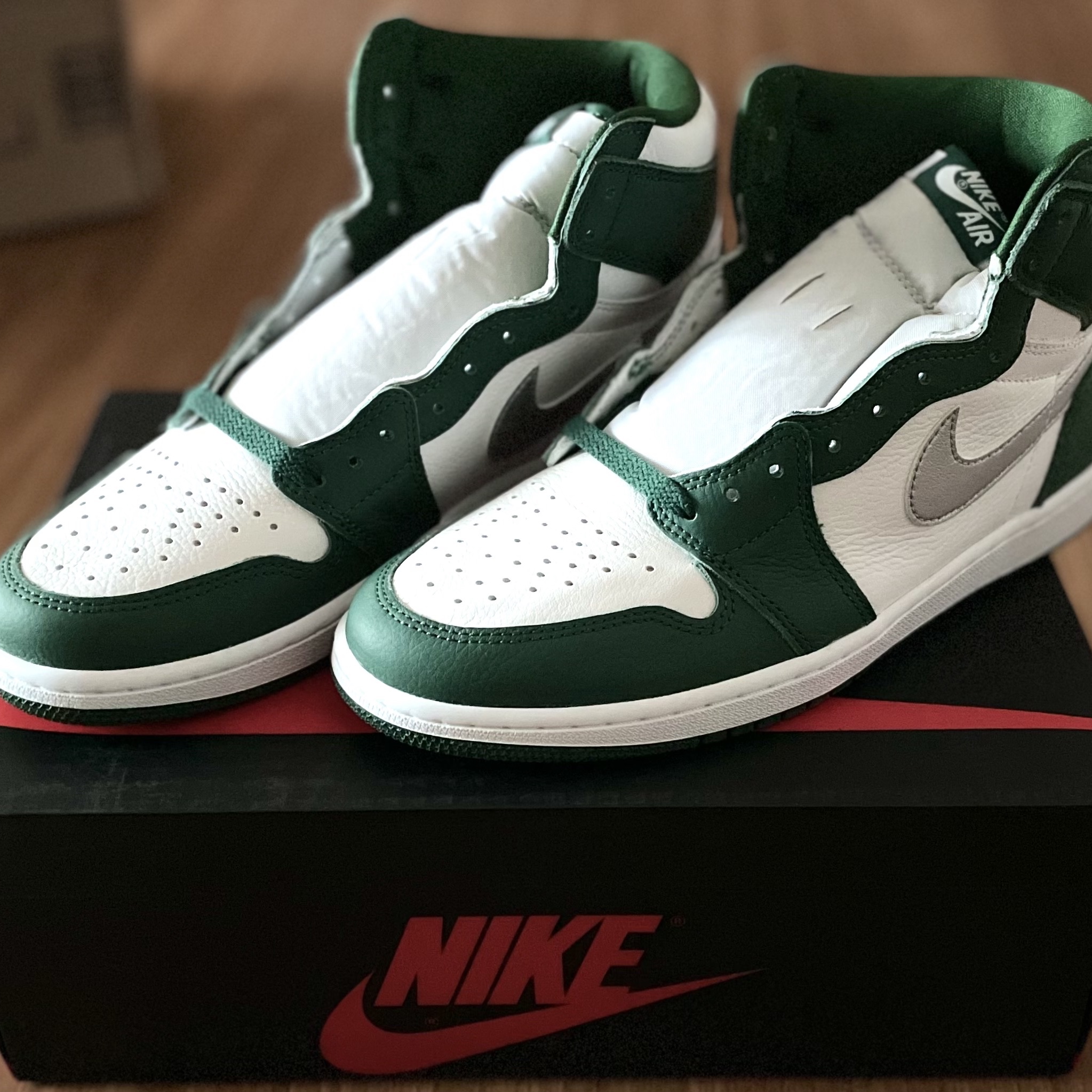 Jordan 1 Retro High OG Gorge Green 착용 스타일 - 1