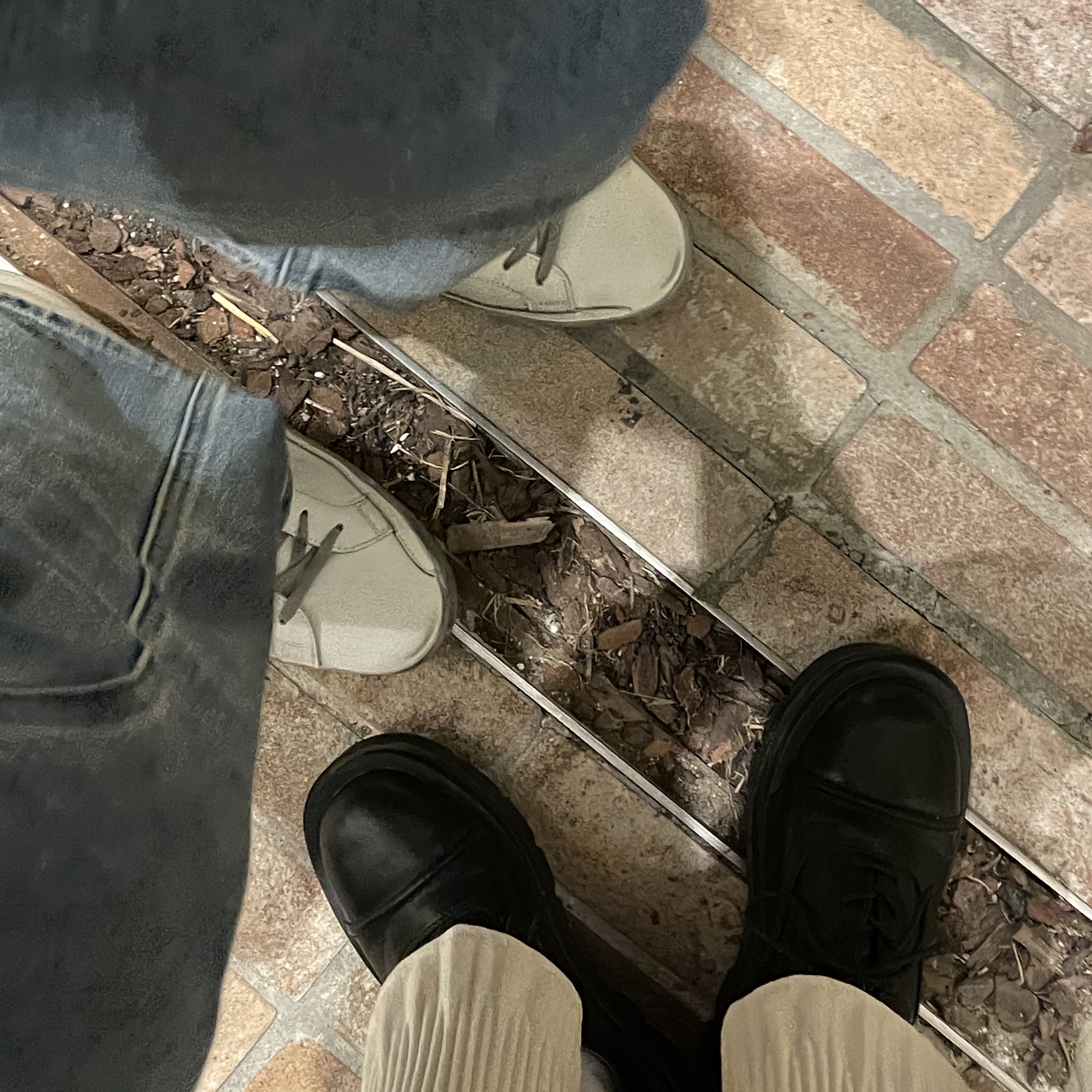 Golden Goose Superstar White Silver Heel Tab Sneakers 착용 스타일