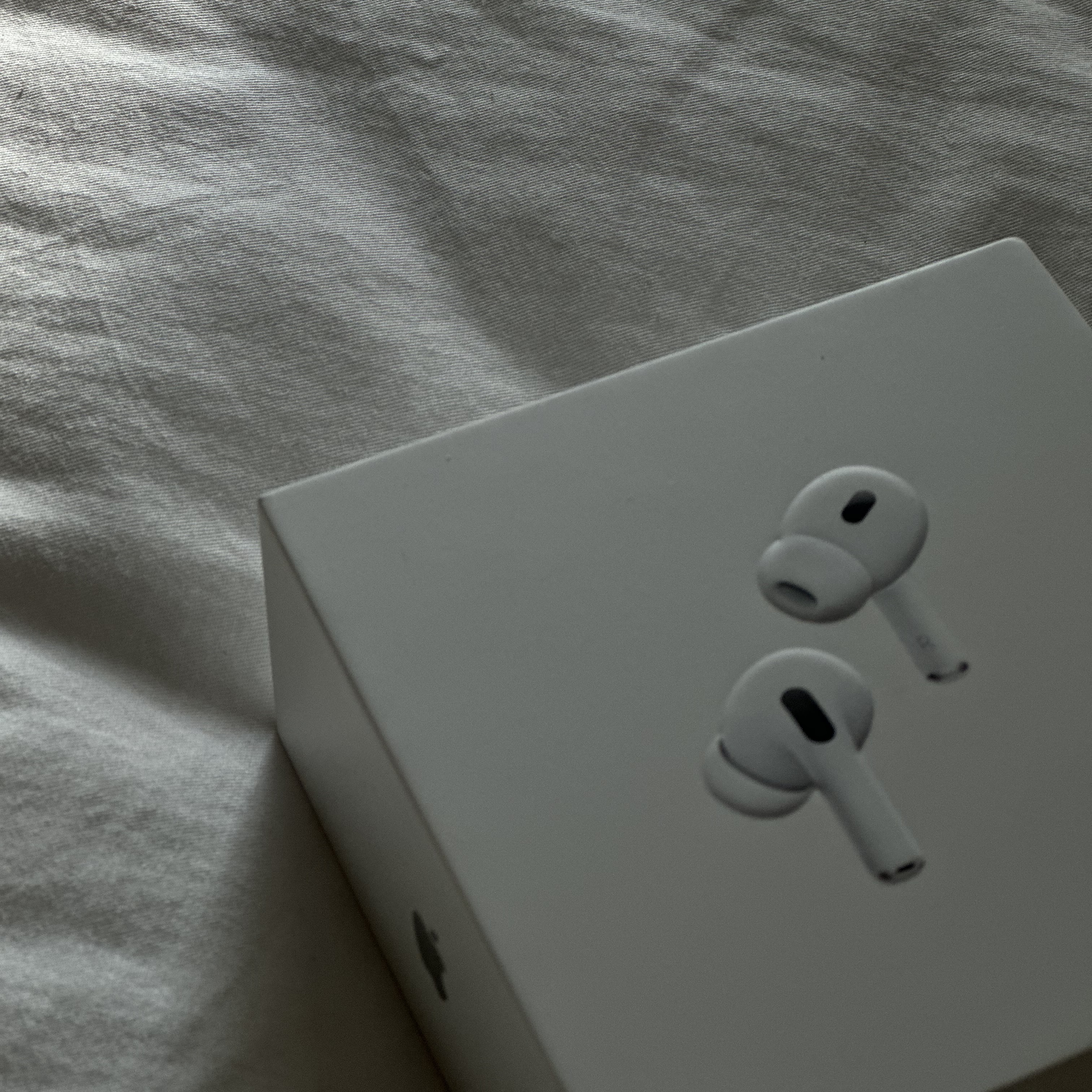 Apple AirPods Pro 2nd Gen (Korean Ver.) 착용 스타일